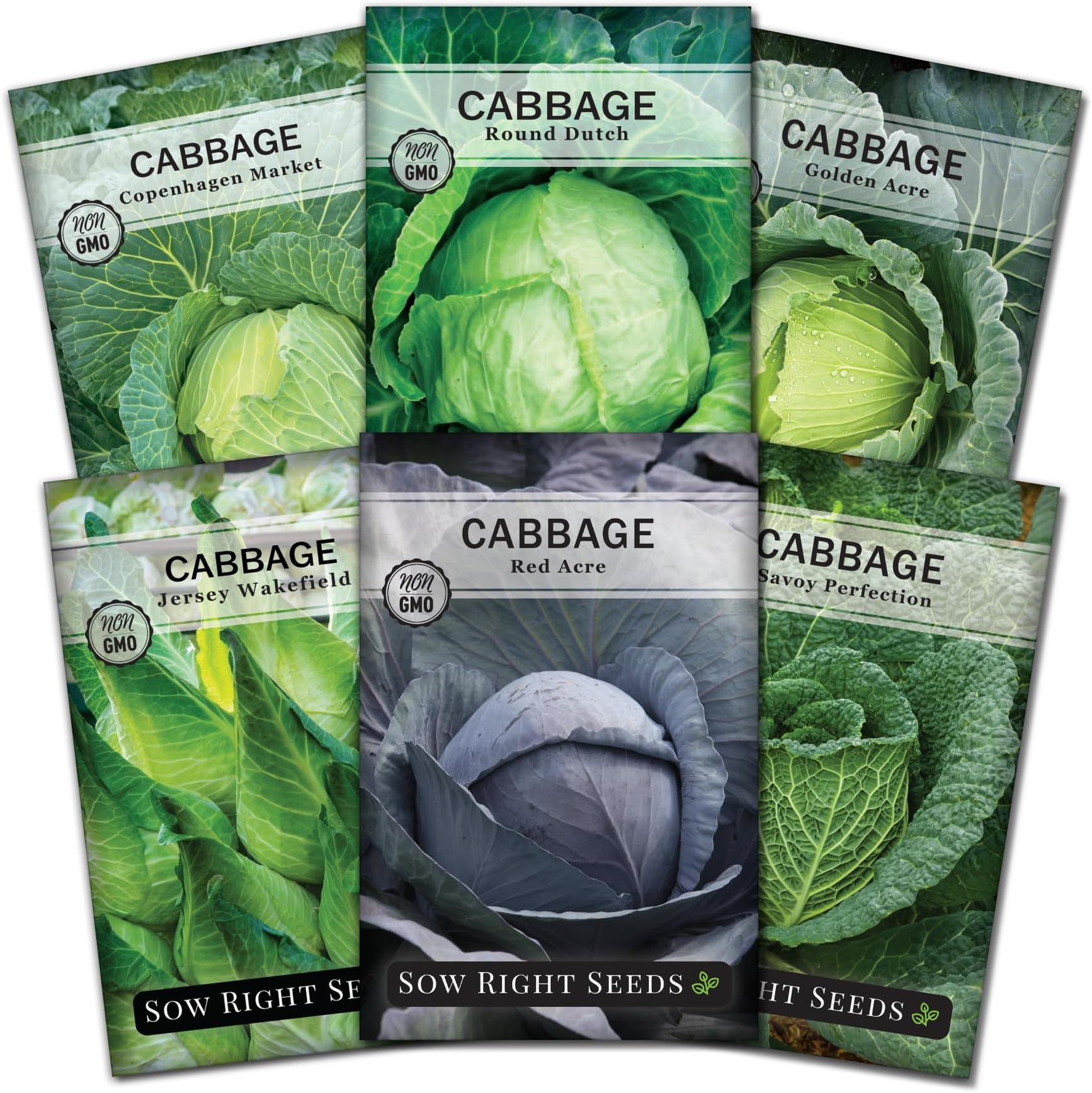 Sow Right Seeds - Cabbage Seed Collection for Planting - Savoy, Jersey Wakefield, Red Acre, Golden Acre, Copenhagen, Round Dutch - Non-GMO Heirloom Varieties to Plant and Grow a Home Vegetable Garden
