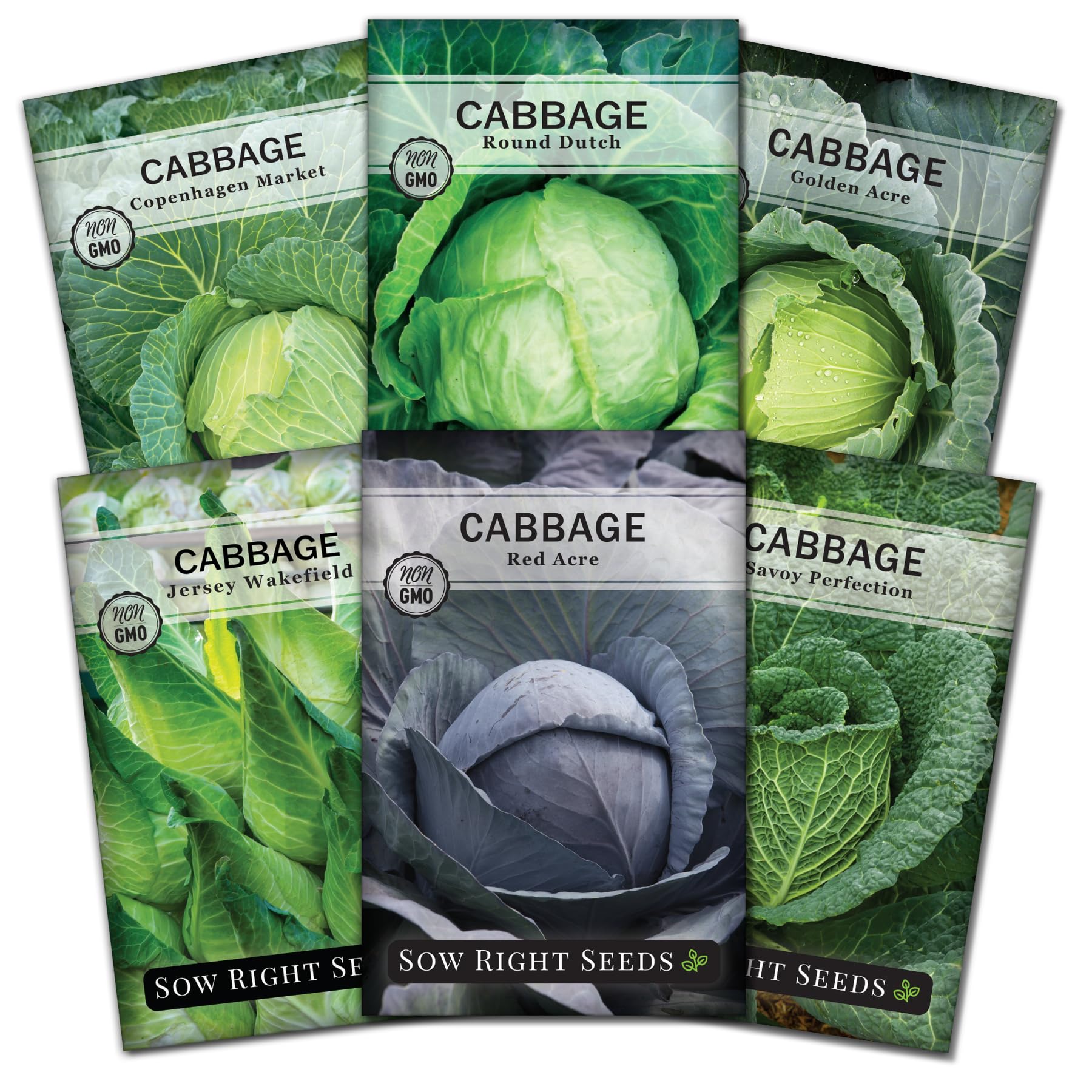 Sow Right Seeds - Cabbage Seed Collection for Planting - Savoy, Jersey Wakefield, Red Acre, Golden Acre, Copenhagen, Round Dutch - Non-GMO Heirloom Varieties to Plant and Grow a Home Vegetable Garden