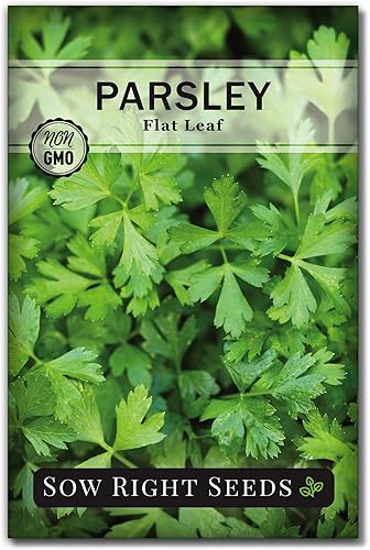 Sow Right Seeds - Flat Leaf Parsley Seed for Planting - Non-GMO Heirloom Packet with Instructions to Plant and Grow a Kitchen Herb Garden - Indoor