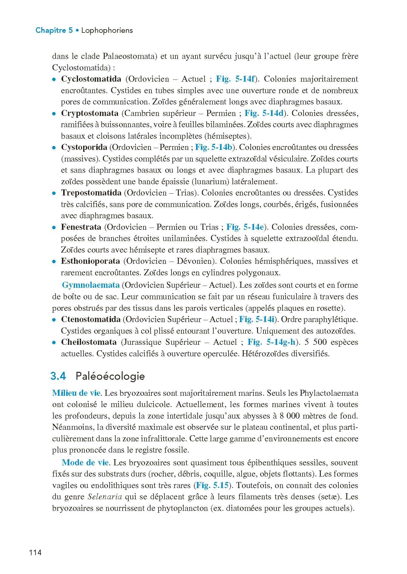 Paléontologie et évolution des invertébrés