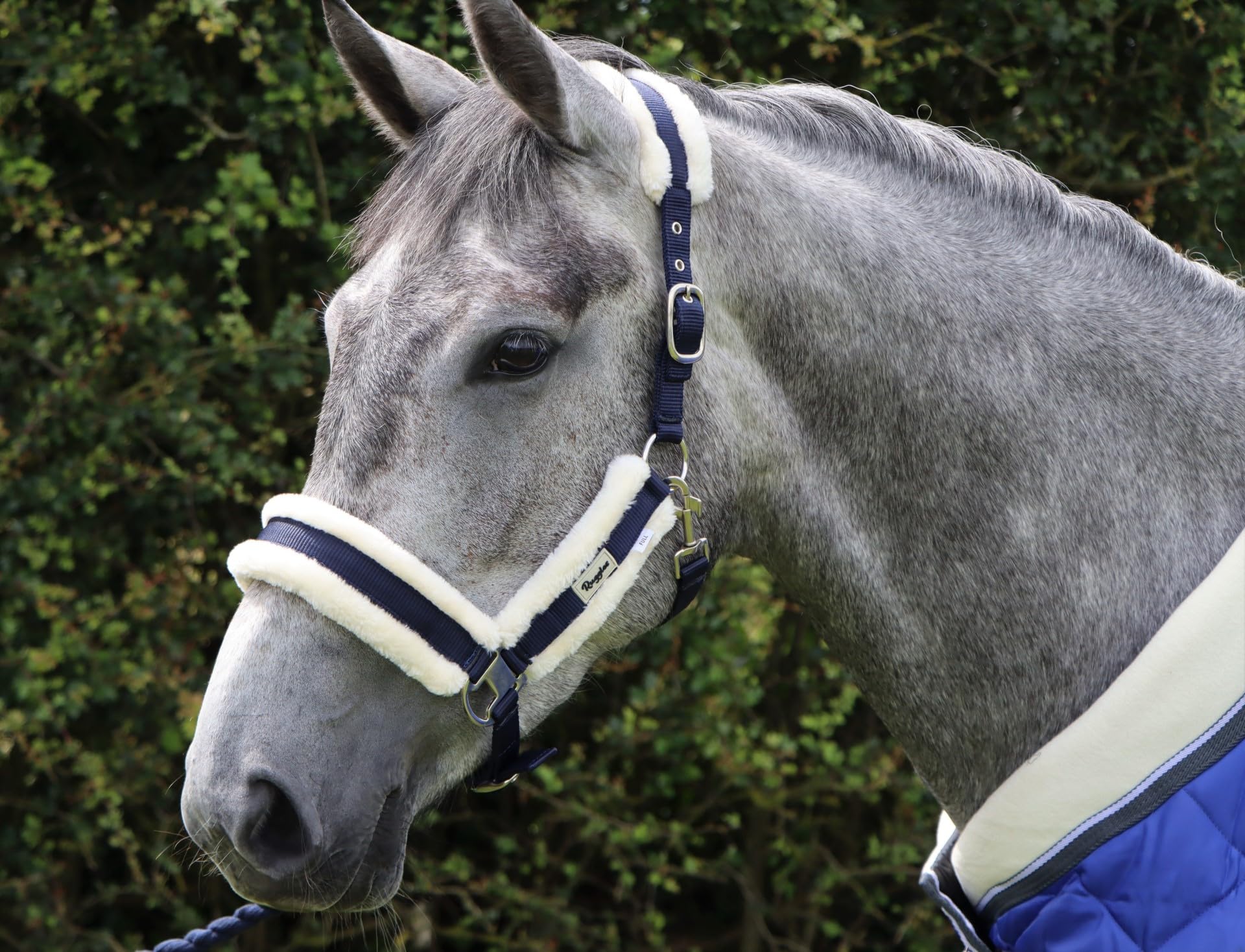 Ruggles Head Collar with Contrast Faux Fur Trim for Horse & Pony | Fully Adjustable | Smart Durable Comfortable | Ideal for Shows Travel and Everyday Use (Full, Navy)