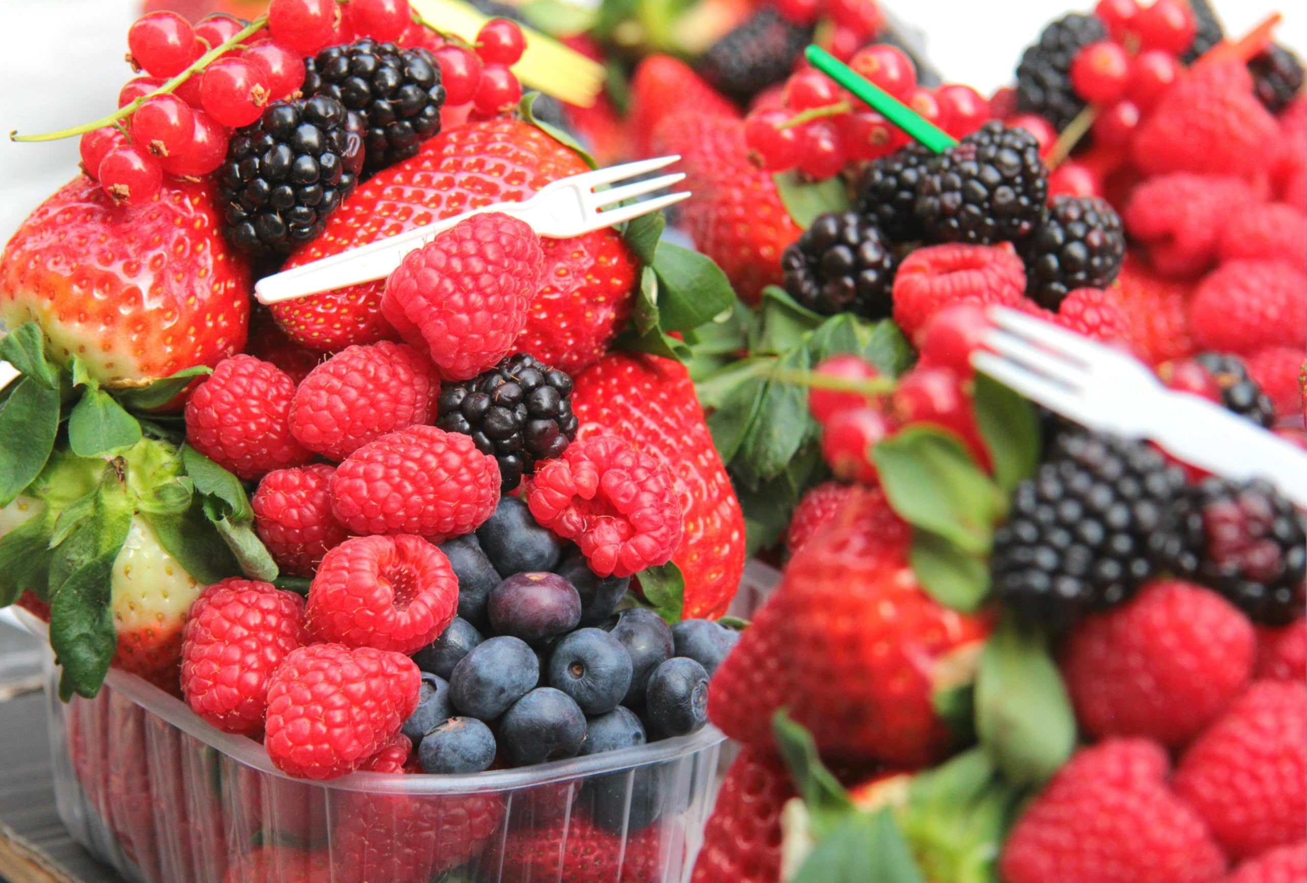 Ponthier ROTE FRÜCHTE PÜREE Sauerkirsche Himbeere Erdbeere Schwarze Johannisbeere Früchte-Püree Rote Früchtemark 1KG Frucht-Smoothie-Bowl-Sorbet-Wasser-Cocktail-Schorle (1, 1kg)