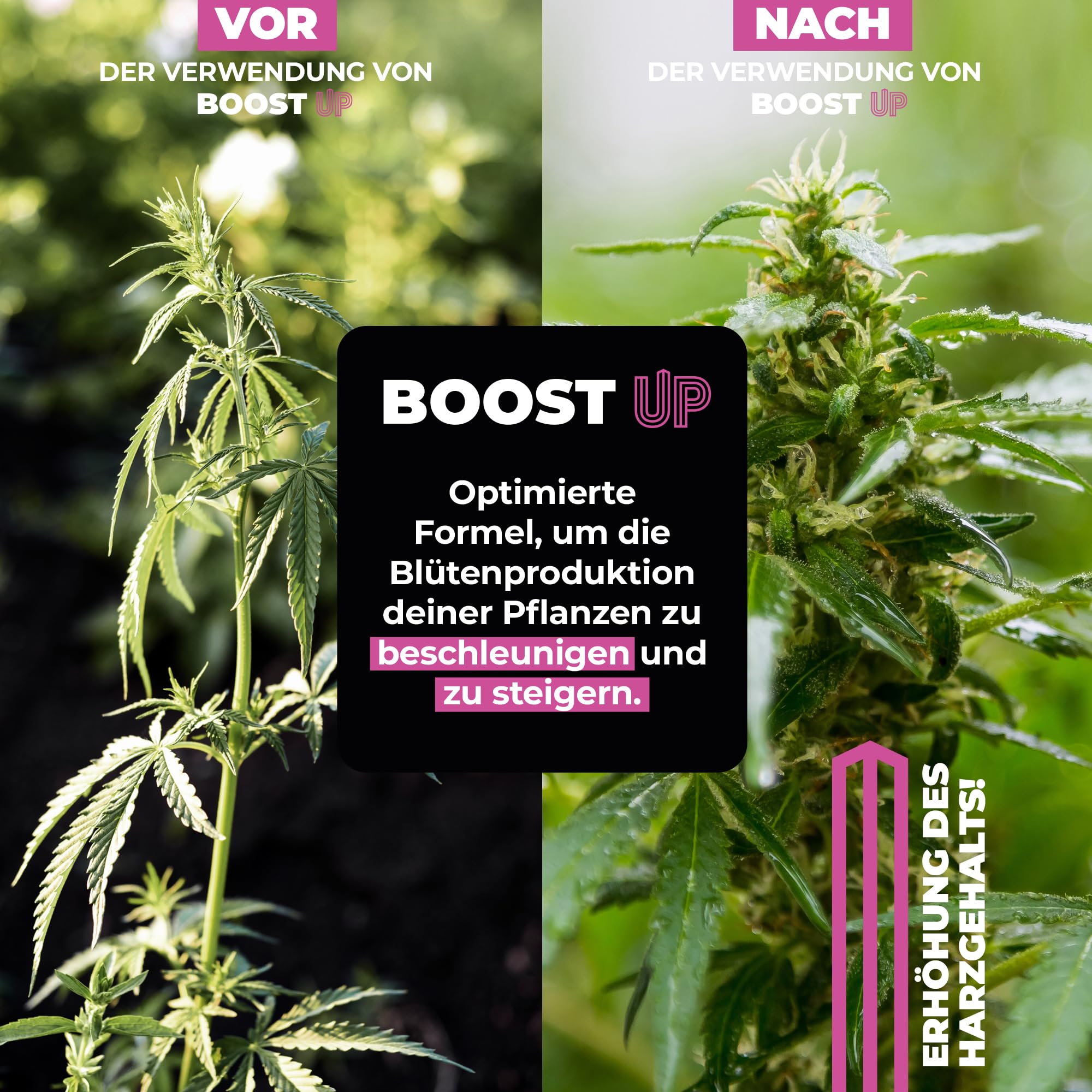 UP NUTRIENTS BOOST UP 1 L | Bio-Blühstimulator & Blütenbooster | Erhöht Blüten-, Frucht- & Knospenbildung | Mehr Dichte & Harz | NPK 1,5-0-1,2 | 100% Pflanzlich