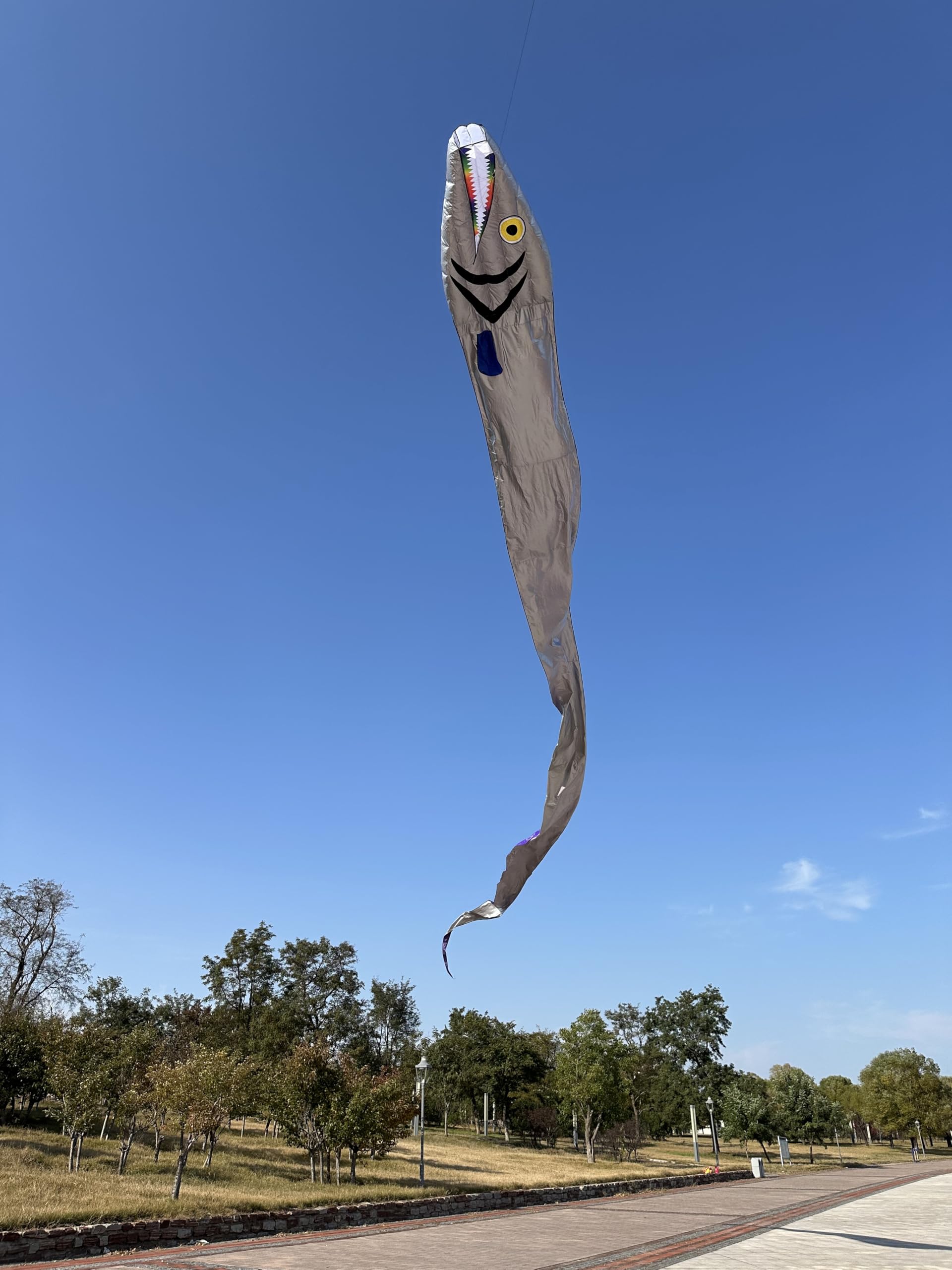 Cometa grande de pez parafoil suave plateado de 61 pies con carrete, regalo perfecto para actividades al aire libre, a partir de 12 años