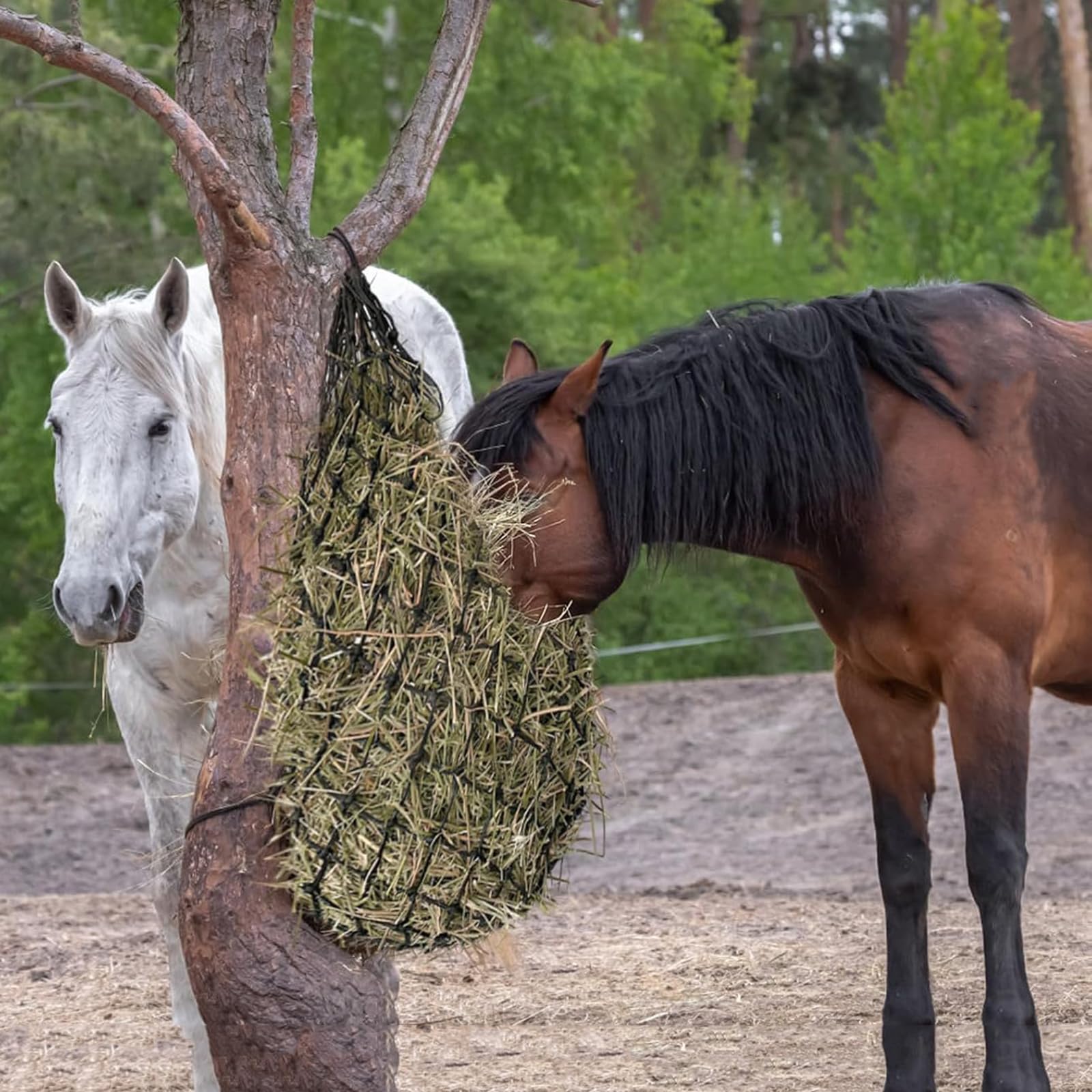 Red de Heno Caballos, Portátil Bolsa Comedero Malla Estrecha Heno Pienso, Seco Bolsa Hierba forraje paja Alimentación Lenta mejora la digestión Cabras Burros Ovejas (50inch1.6",Lake blue)