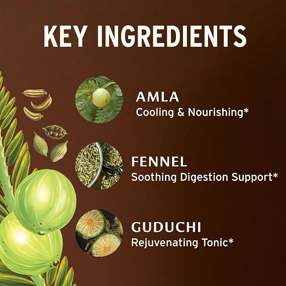 Banyan Botanicals Organic Pitta Digest Cooling Digestive Supplement for Post-Meal Comfort Soothing Gut Health Aid with Guduchi, Amla & CCF 90 Tablets USDA Organic