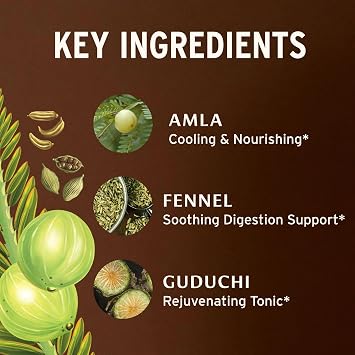 Banyan Botanicals Organic Pitta Digest Cooling Digestive Supplement for Post-Meal Comfort Soothing Gut Health Aid with Guduchi, Amla & CCF 90 Tablets USDA Organic