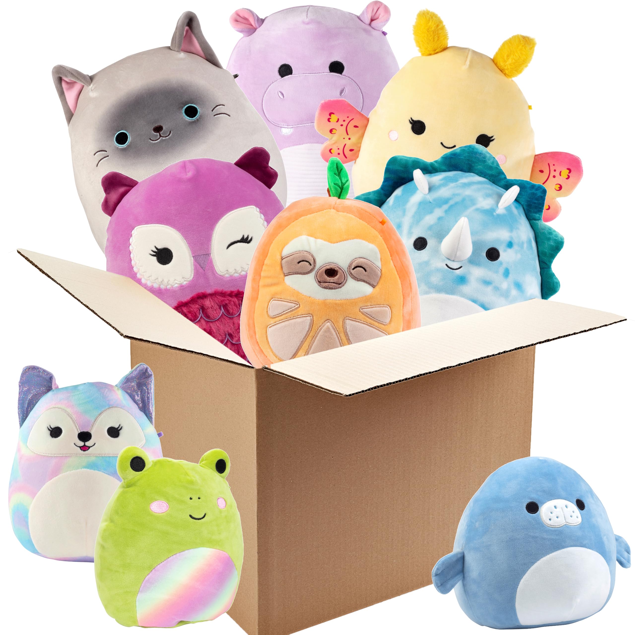 Amazon.com: Squishmallows Mystery One 10