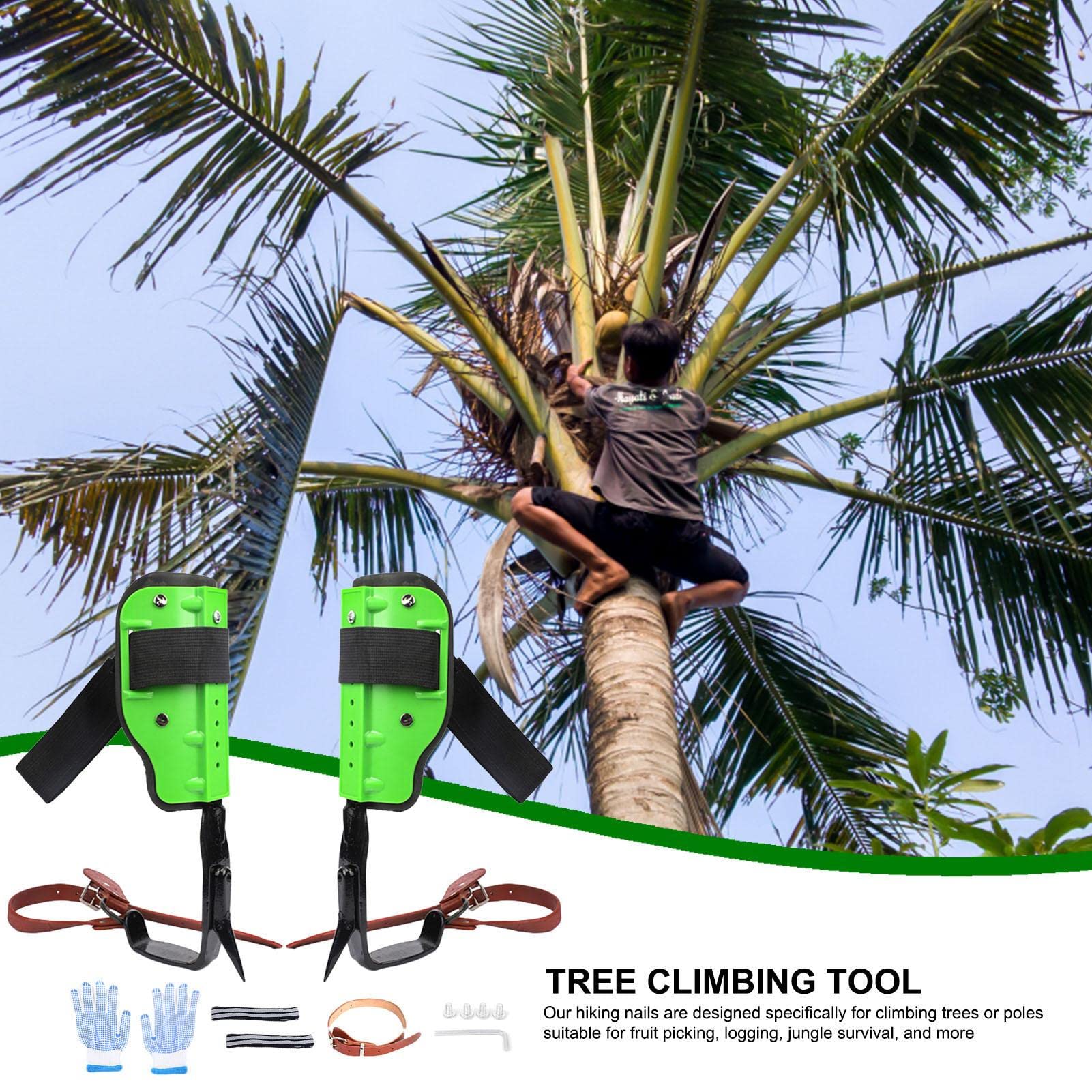 ajustables para escalada de árboles, herramienta antideslizante para | actividades al aire libre | Equipo de escalada de árboles y cómodo para caza y observación de animales salvajes