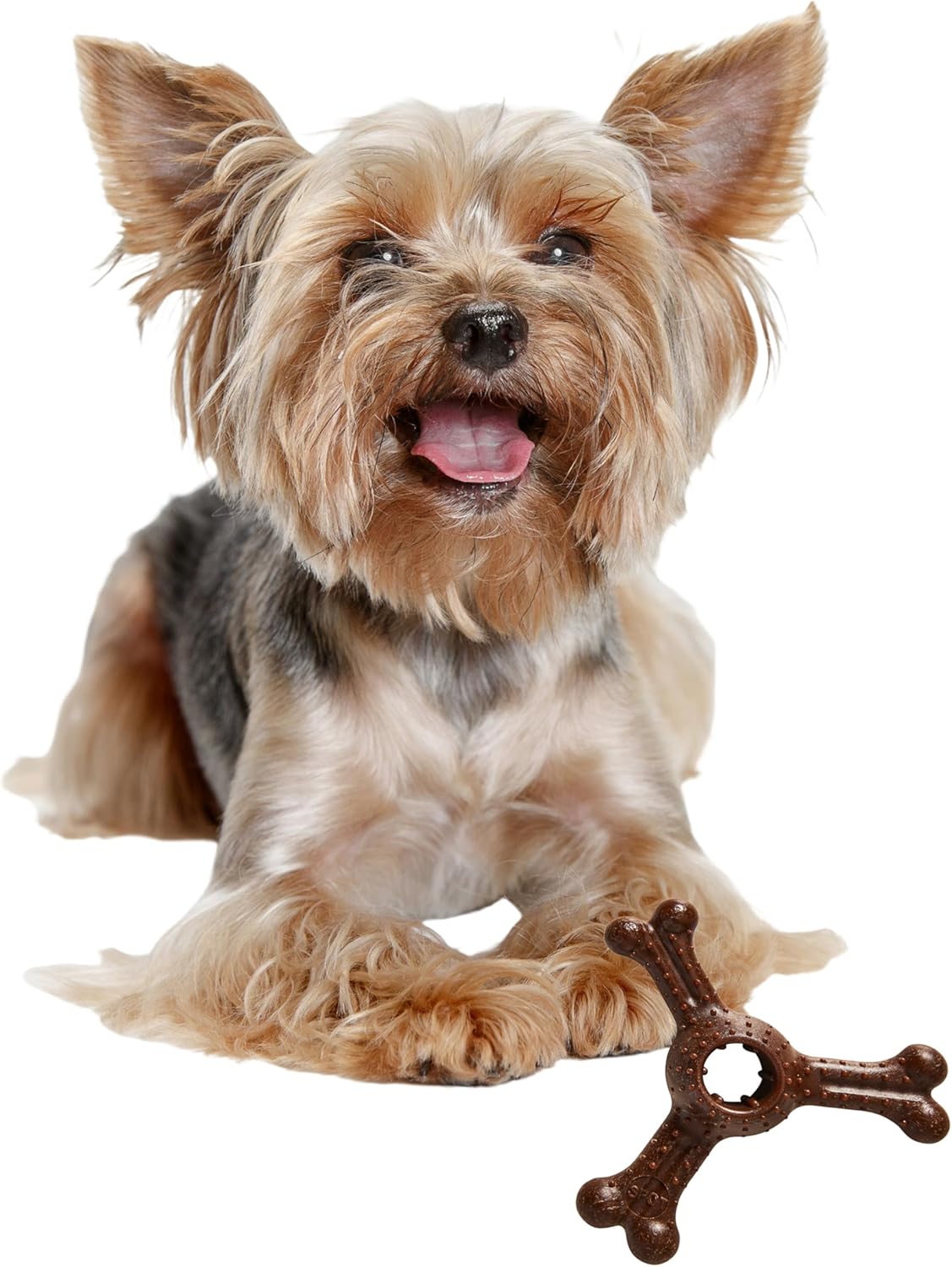 SPOT Bam-Bones Plus Triple Chew Dog Toy, Durable Bamboo Fiber & Nylon, for Aggressive Chewers, Adult Dogs & Teething Puppies Under 30lbs, 4in, Bison Flavor