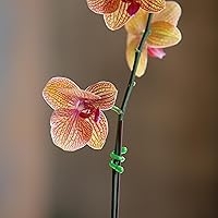 Vista 6 de Sujetador de goma Nite Ize, sujetador reutilizable, GT3-4PK-A1