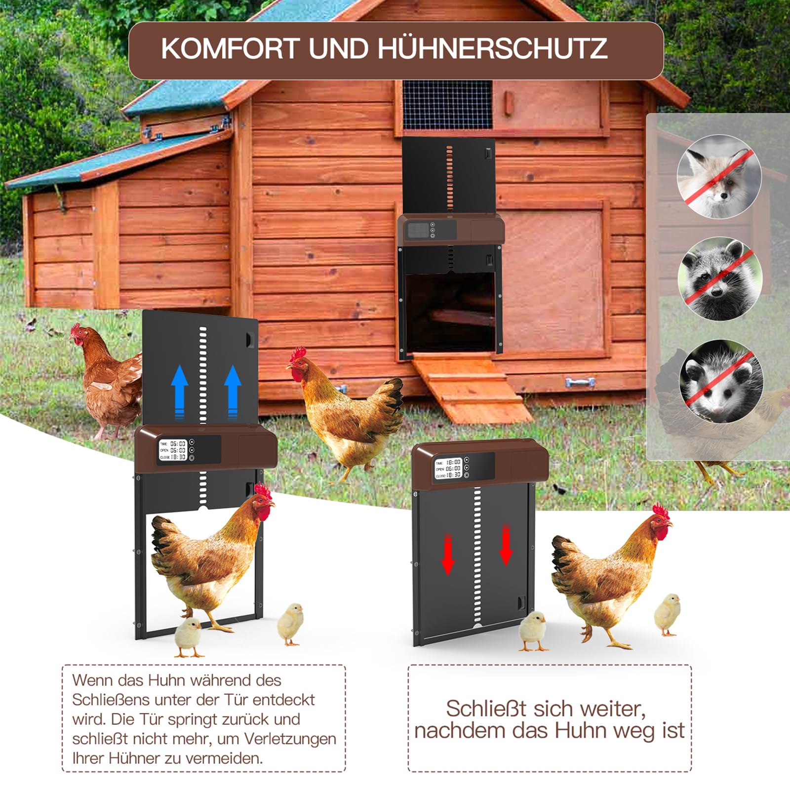 Shinmax Automatische Hühnerklappe – Solar, App-S Produktbild-Vorschau 3