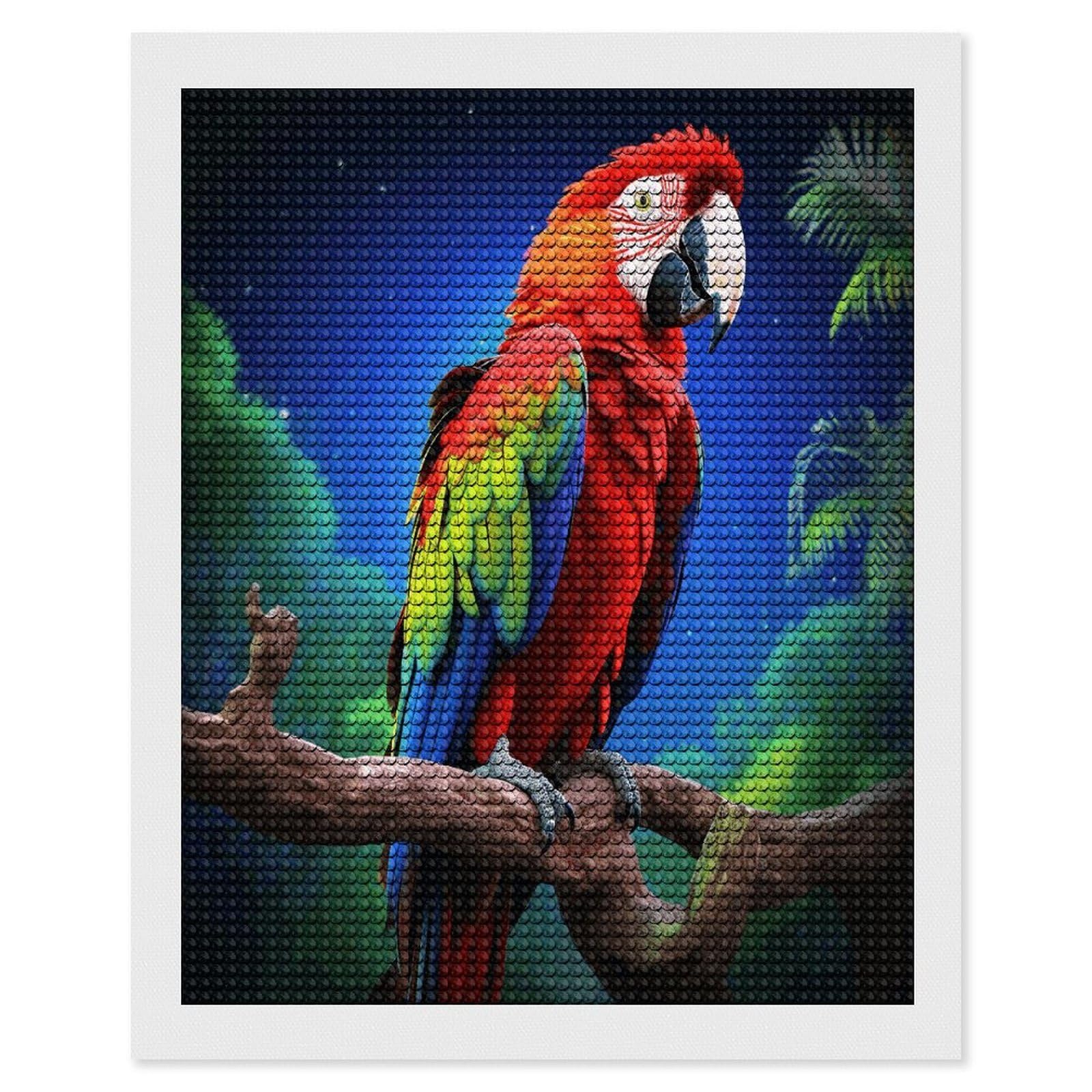 JTREHY Parrot Diamond Art Kits Personalized DIY Round Diamond Painting Kits for Beginner Full Drill Diamonds Dots Paintings for Adults Gem Art Crafts Home Decor