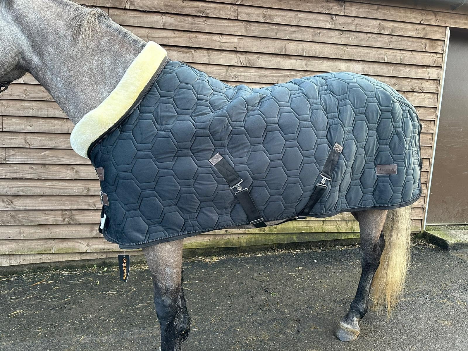 Horse Stable Rug Show Rug Faux Fur Lined 100 gsm Filling Size 5'9"-6'9" (Black, 6'9")