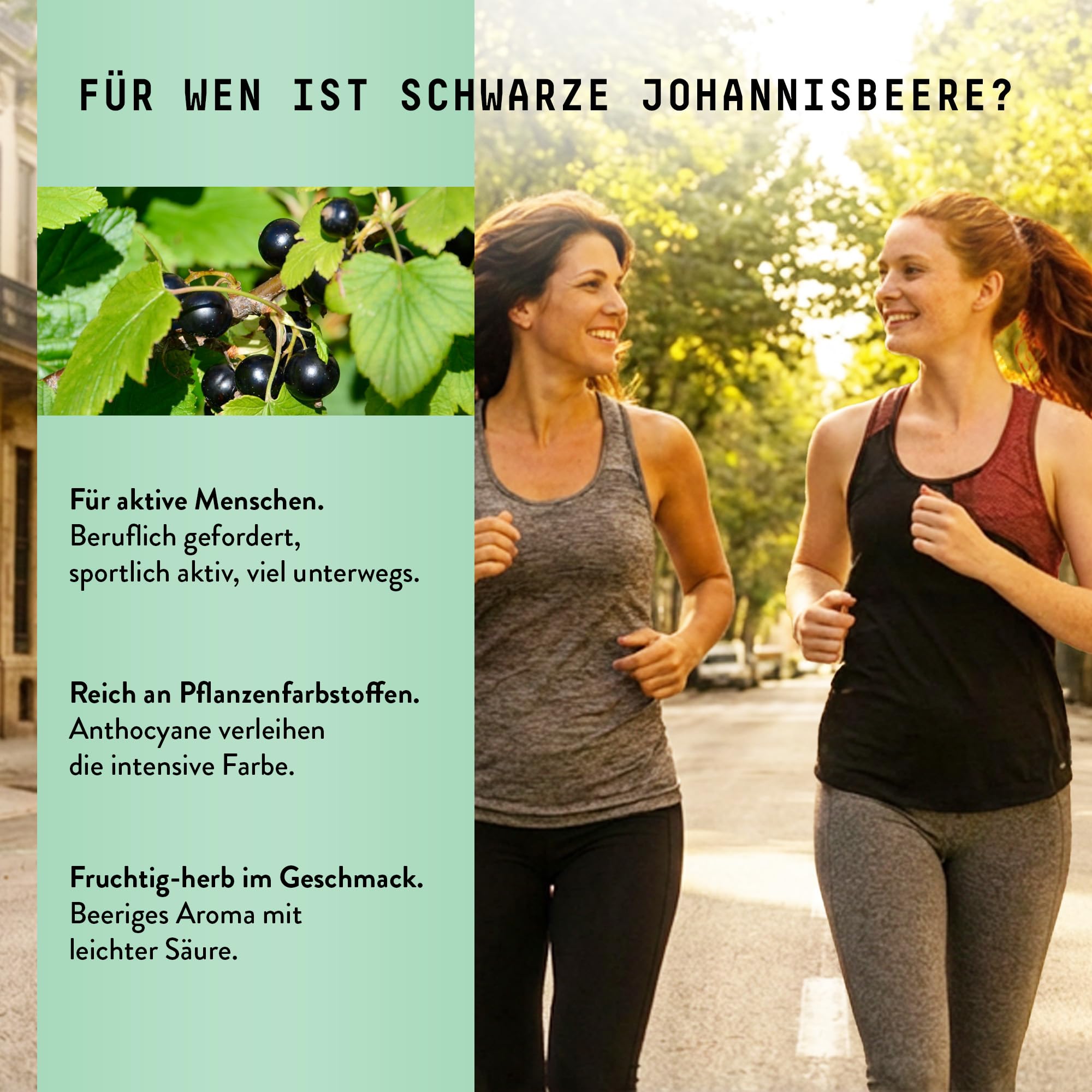 Schwarze Johannisbeere (Ribes Nigrum L.) Alkoholfreie Urtinktur – flüssiger Extrakt – Tropfen – 100 ml – Nahrungsergänzungsmittel – Marishanti – 100% natürlich und vegan