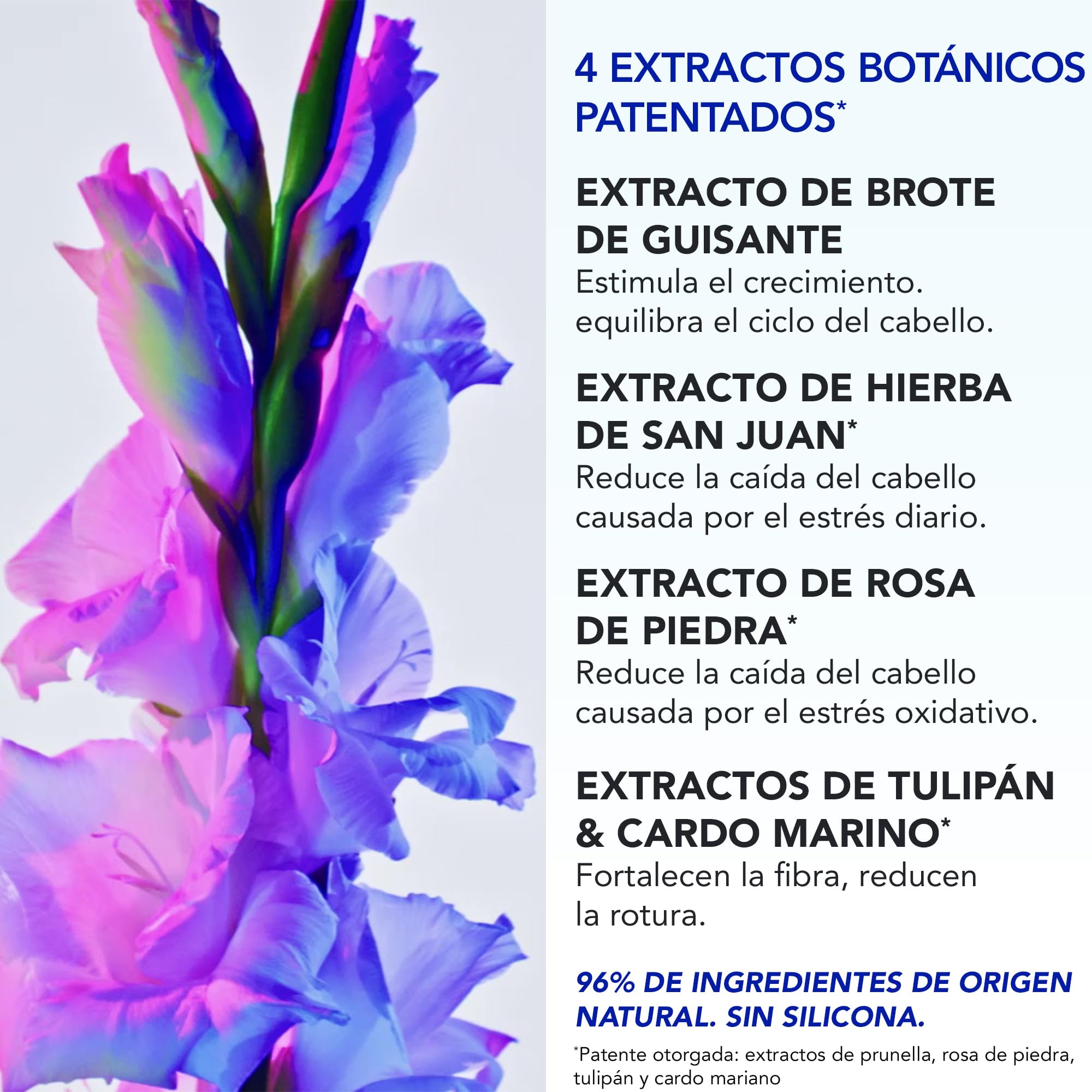 Phyto Paris - Phytophanère - Tratamiento Anticaída Reactiva 12 Ampollas x 5ml - Biotina - Zinc - Ácido Fólico - Frena la Caída por Estrés y Postparto