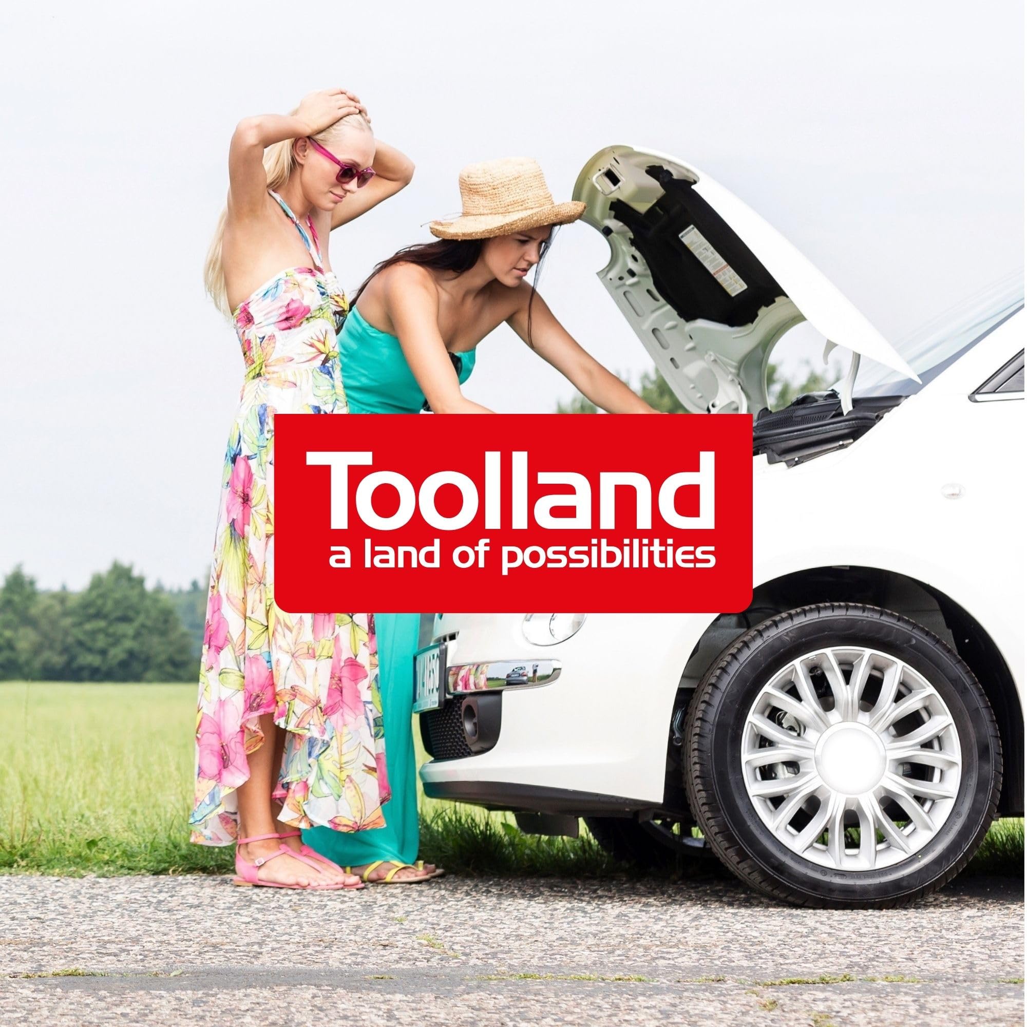 Toolland Cargador de bateria 12V 24V 7A, con arrancador 9A, para baterias de Plomo y Gel 25-135Ah, amperimetro, Proteccion contra sobrecarga, Carcasa Metalica, para Moto Tractor Coche Furgoneta Barco