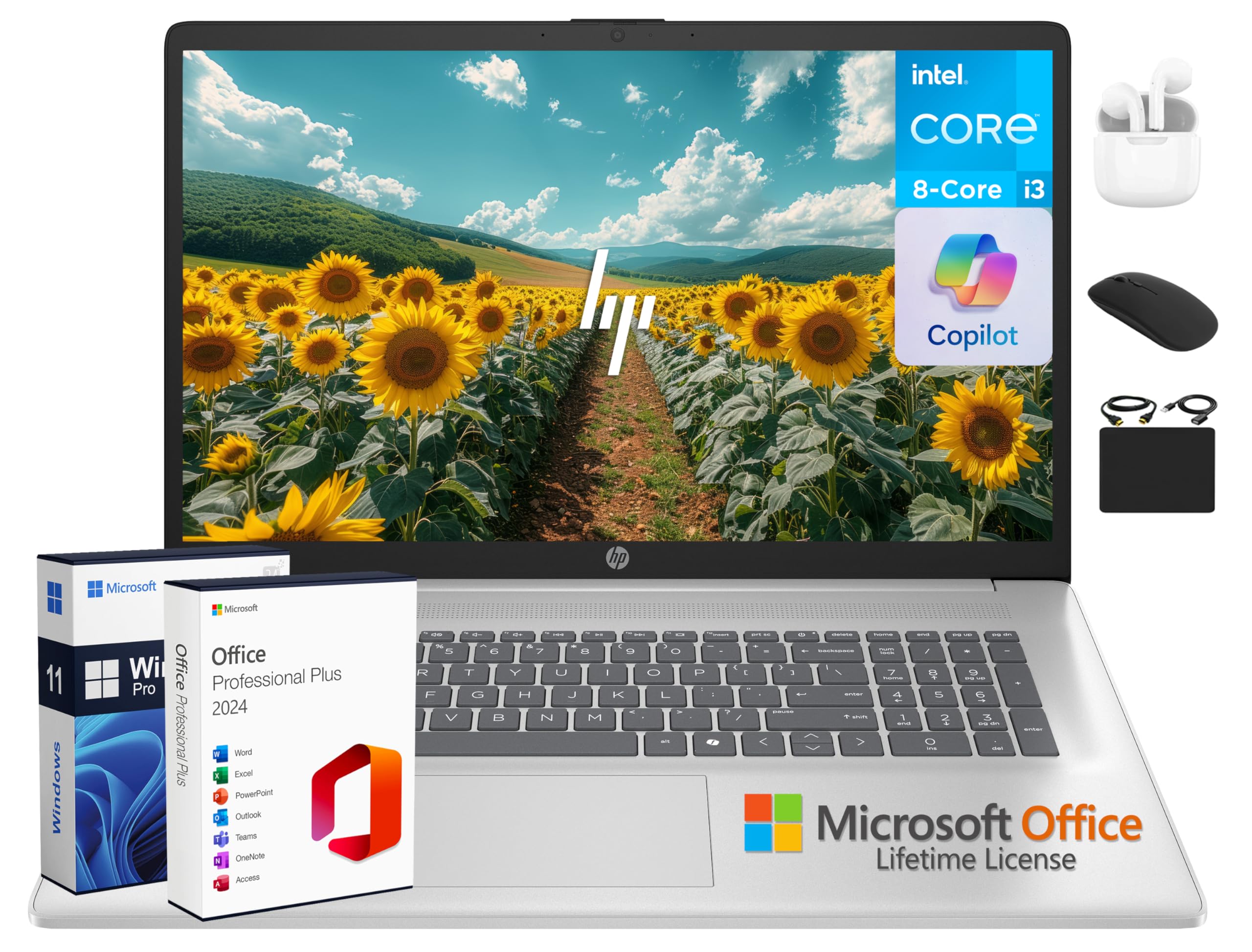 Amazon.com: HP 17 Business Laptop, 17.3