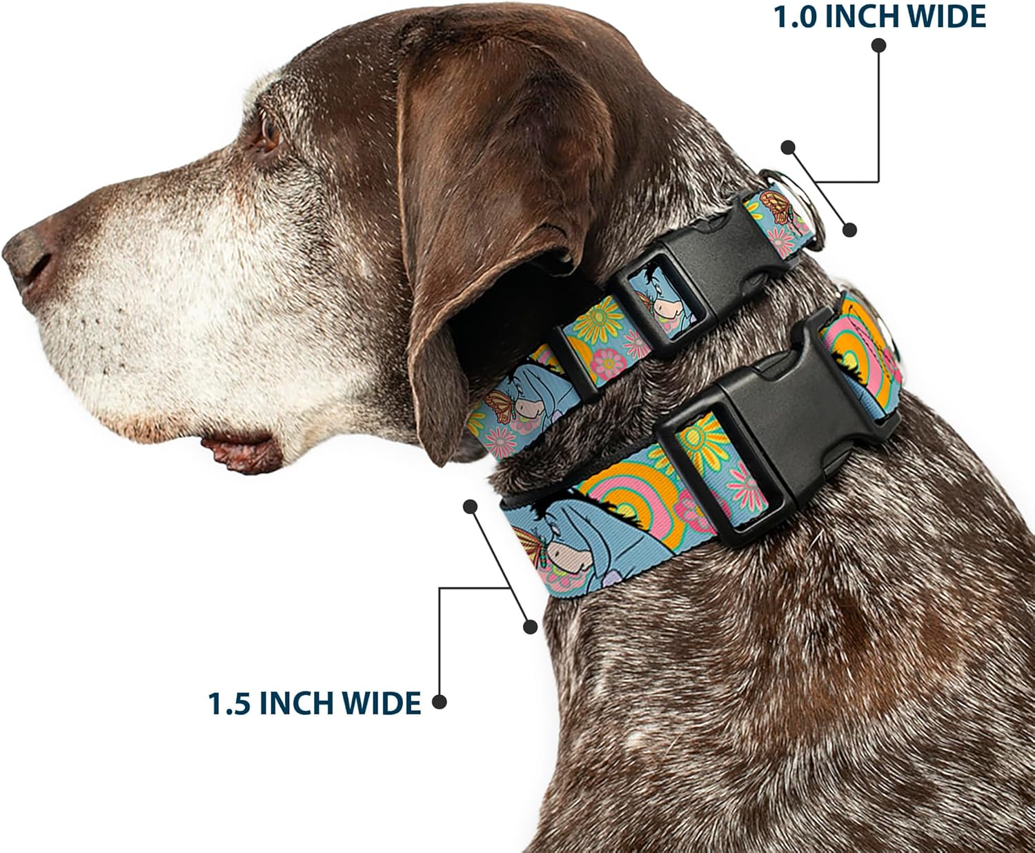Disney Pet Collar, Dog Collar Plastic Buckle, Winnie The Pooh Eeyore Butterfly Pose Floral Collage Blue, 20 to 31 Inches 1.5 Inch Wide