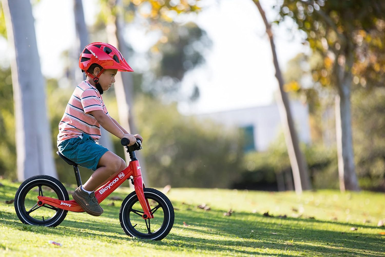 Joovy Bicycoo Mg Balance Bike, Toddler Bike,12 inches, Rorange