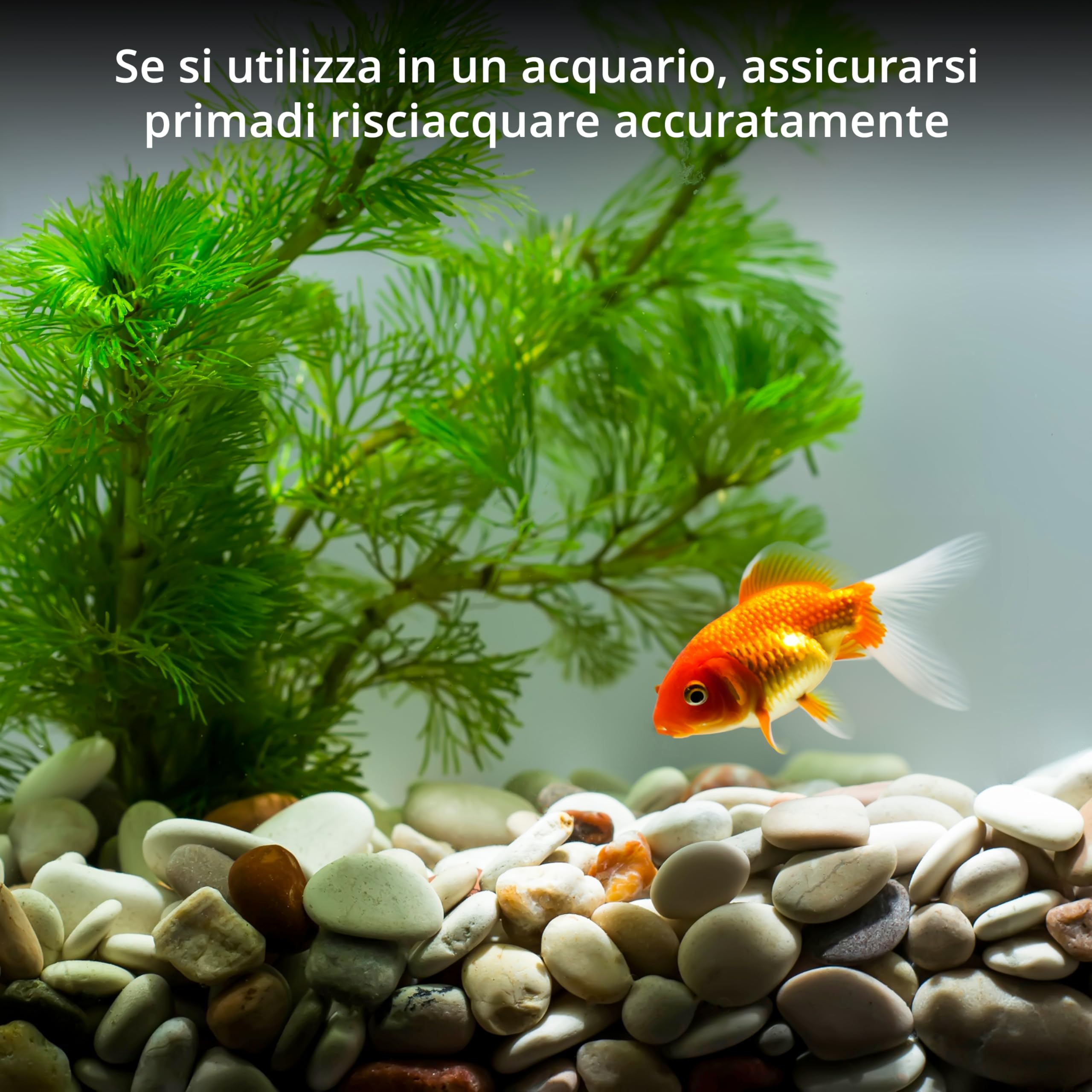 Winter Shore 2,25 kg Sassi di Fiume per Piante - Pietre Decorative Levigate per Artigianato - Riempimento di Vasi - Sassi per Acquario, Piante Grasse - 2-4 cm, Circa 170 Pezzi per Sacchetto