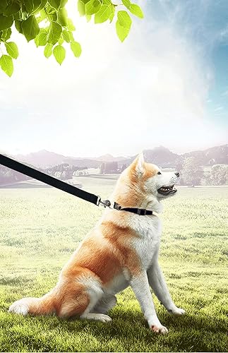 Miniatura 5 de PETGOGO Correas de entrenamiento para perros pequeños y medianos de 15, 20, 30, 40, 50 pies de largo, para perros pequeños y medianos (15 pies,