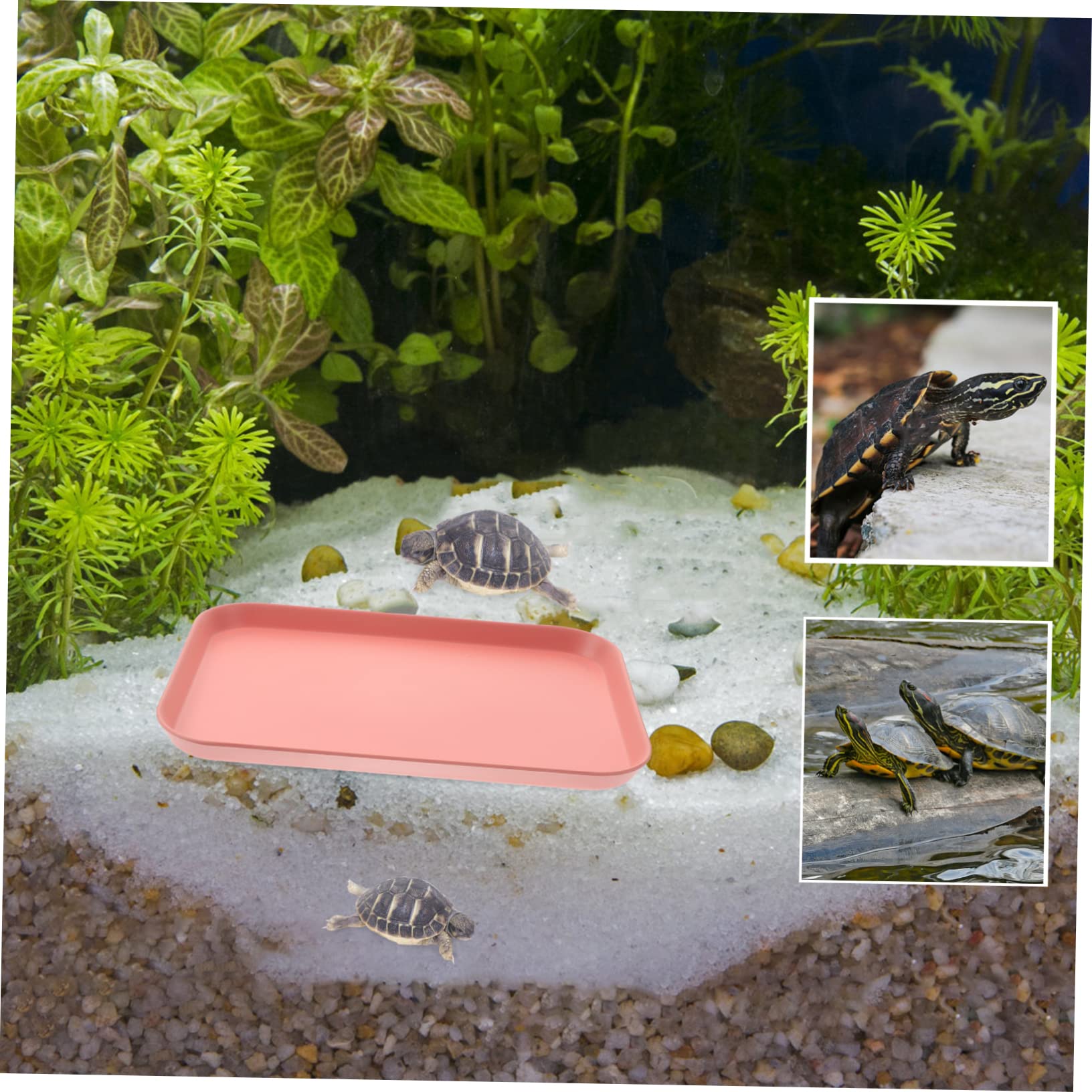 Mikikit Crawling Pet Food Basin Large Reptile Water Dish for Tortoise and Lizards Durable Terrarium Accessories Non Slip Feeding Bowl for Healthy Habitat