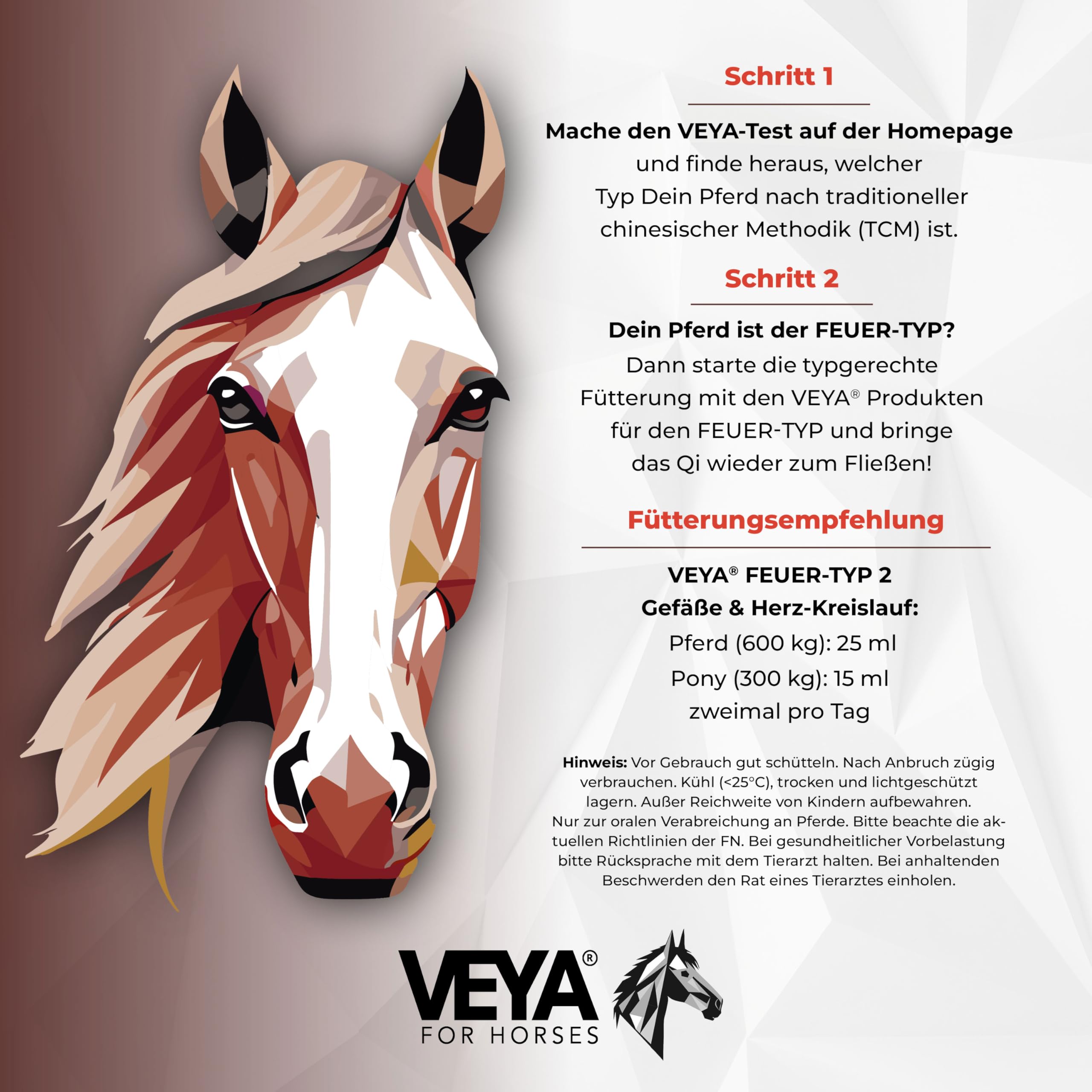 VEYA® by STRÖH Feuer-TYP 2 Gefäße & Herz-Kreislaufsaft (1L) • Ergänzungsfuttermittel für Pferde mit Weißdorn, Ginkgo & Herzgespann • Natürliche Unterstützung des Kreislaufsystems