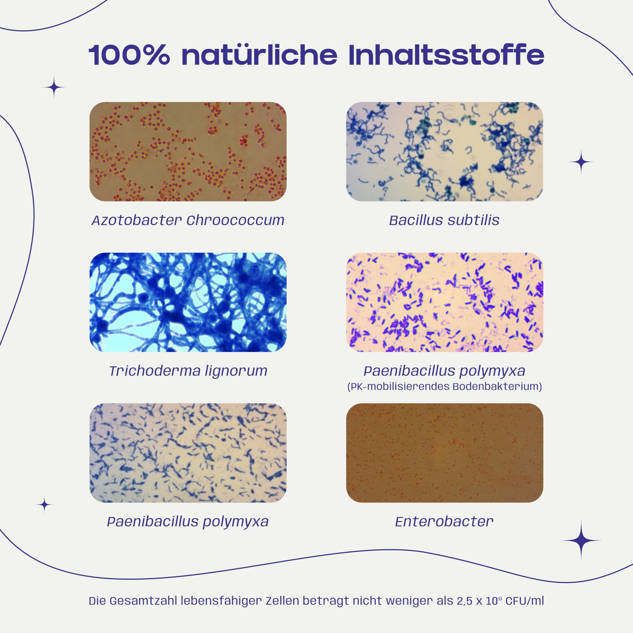 Let's Grow Biogarden Let's Grow Bio - Ecostern Bodenverbesserer, organischer Bodenzusatz auf Basis lebender Mikroorganismen zur Steigerung der biologischen Bodenaktivität, ideal für Gärten, 500 ml