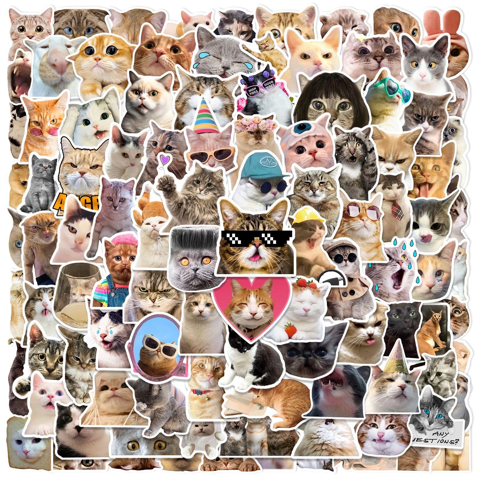 100 Pcs Cat Meme Stickers for Guitar,Bicycle,Laptop,Water Bottles,Skateboard,Computer,Kitten Meme Cute Style Stickers Waterproof Vinyl,Graffiti Decorate for Girls Boys Teens