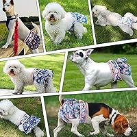 Vista 5 de NOYAL Pañales lavables para perras, reutilizables, de alta absorción, a prueba de fugas, paquete de 3