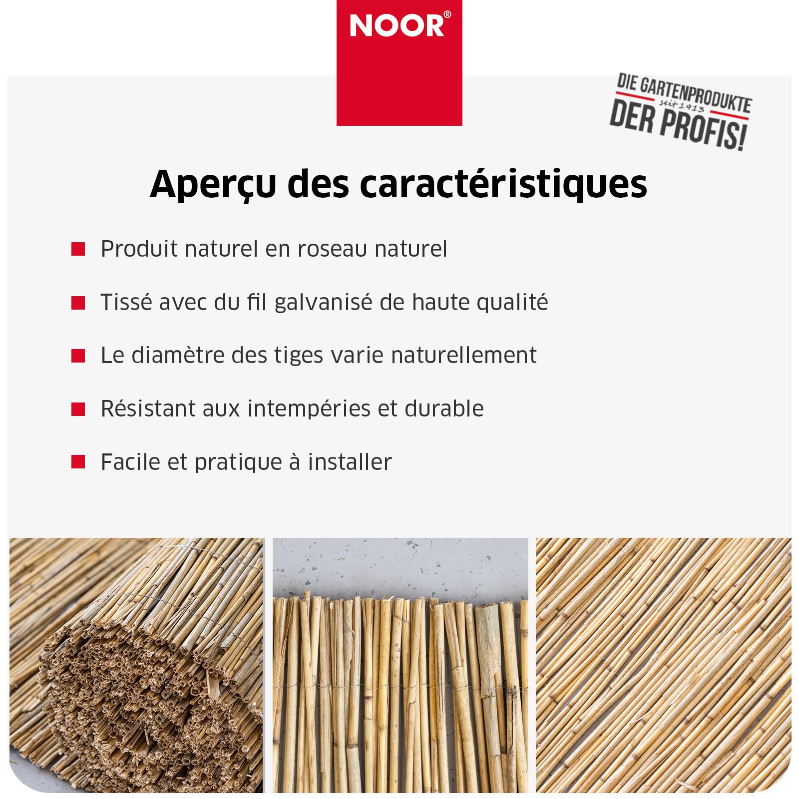 NOOR Panneau Brise-Vue en Roseau St. Tropez - 60 cm x 6 m - Naturel | Brise-vue en roseau pour balcon, terrasse et jardin - résistant aux intempéries à fixer sur une clôture - plus d'intimité