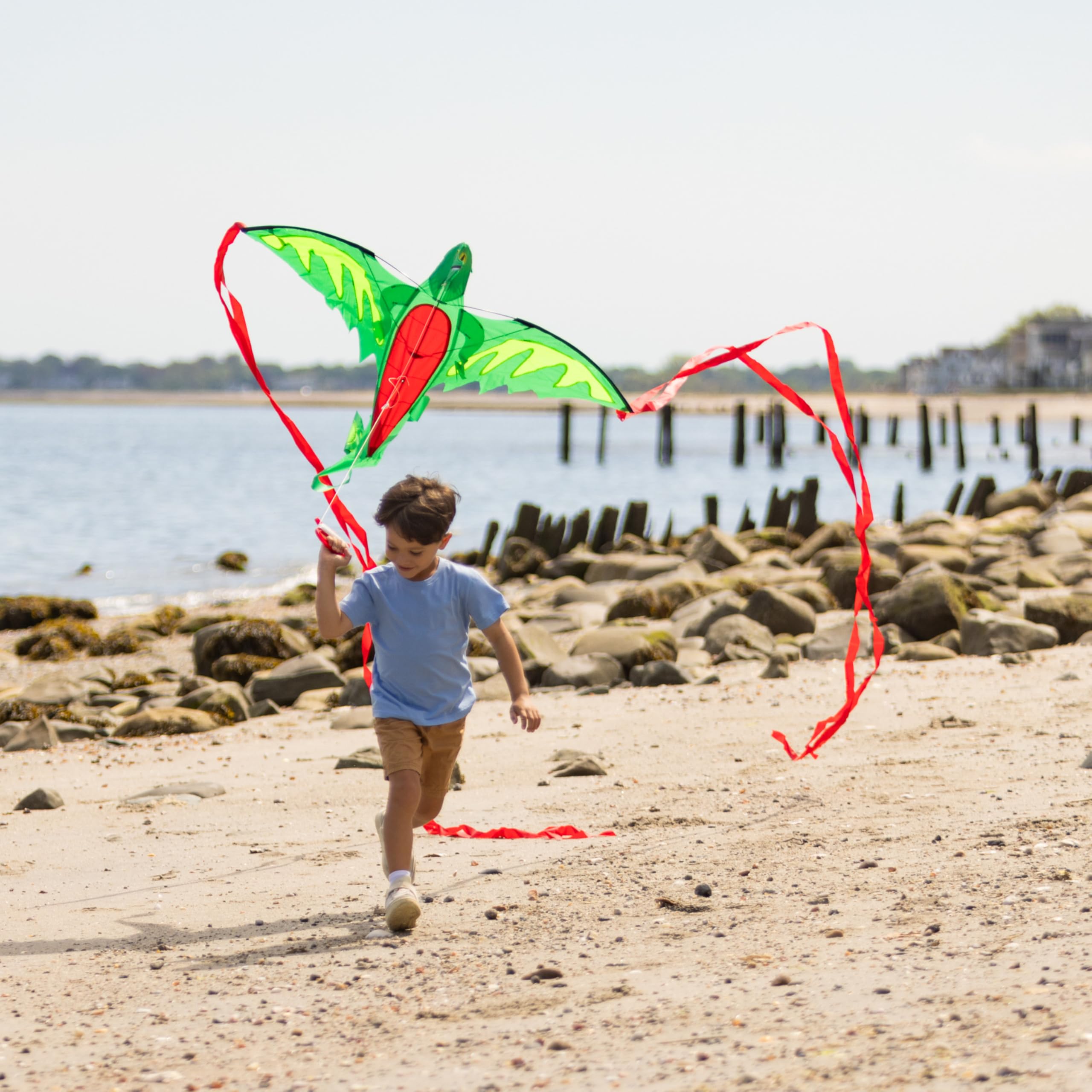 Melissa & Doug Cerf-Volant ailé en Forme de Dragon (envergure de 157 cm)