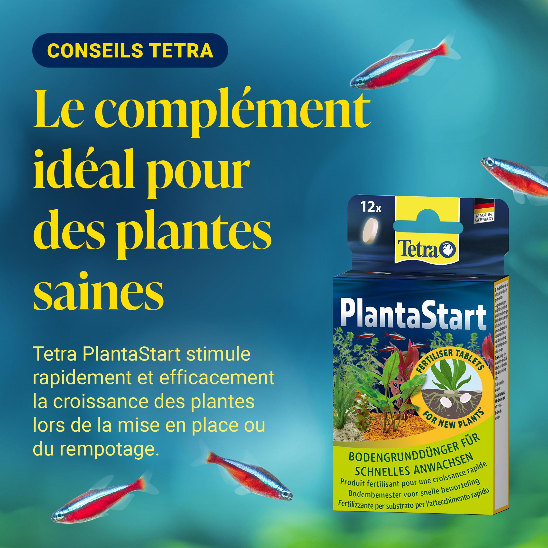 Tetra Activesubstrate 3 L