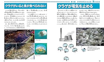 クラゲの秘密: 海に漂う不思議な生き物の正体 (子供の科学・サイエンスブックス)／三宅 裕志 Amazon.co.jp: クラゲの秘密: 海に漂う不思議な生き物の正体