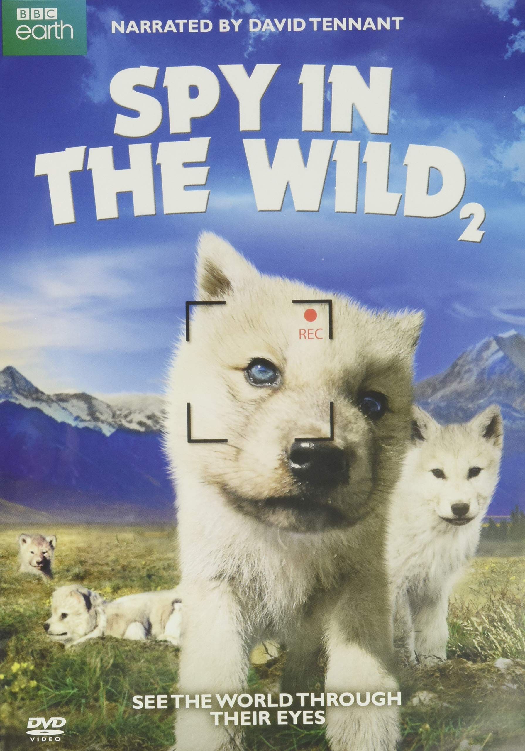 Spy In The Wild Part 2 DVD con camaras ocultas roboticas edicion importada