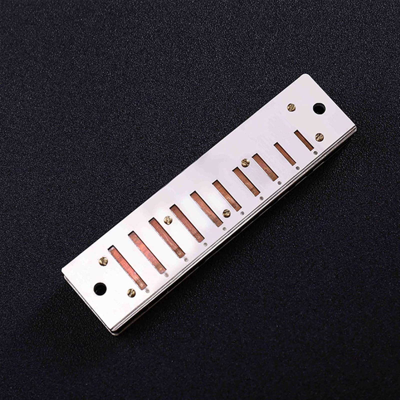 Armonica A Bocca Professionale Principianti Professionisti Dell'armonica A 10 Buche Che Suonano Uno Strumento A Fiato Armonico