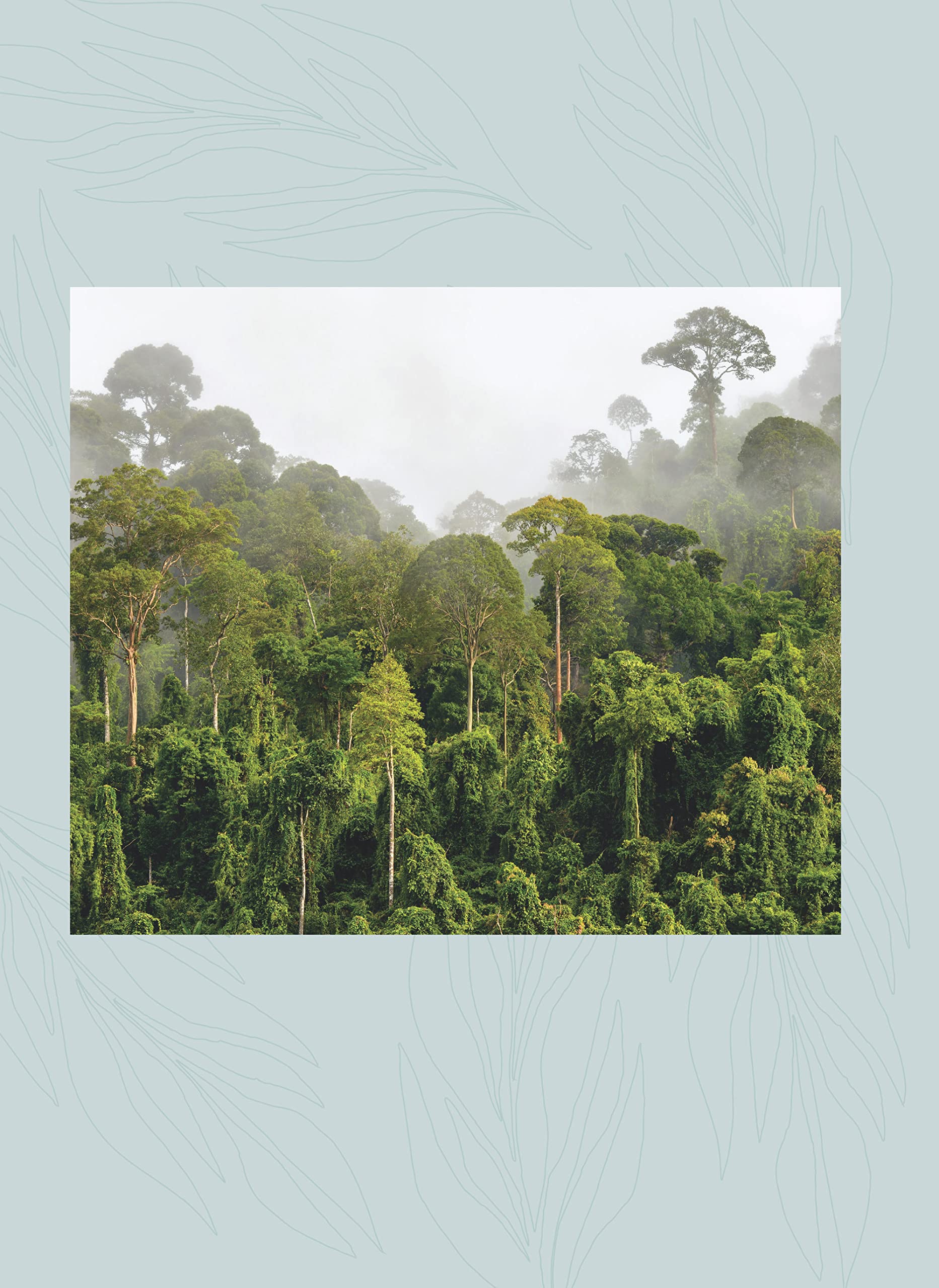 Le Grand Atlas des arbres et forêts