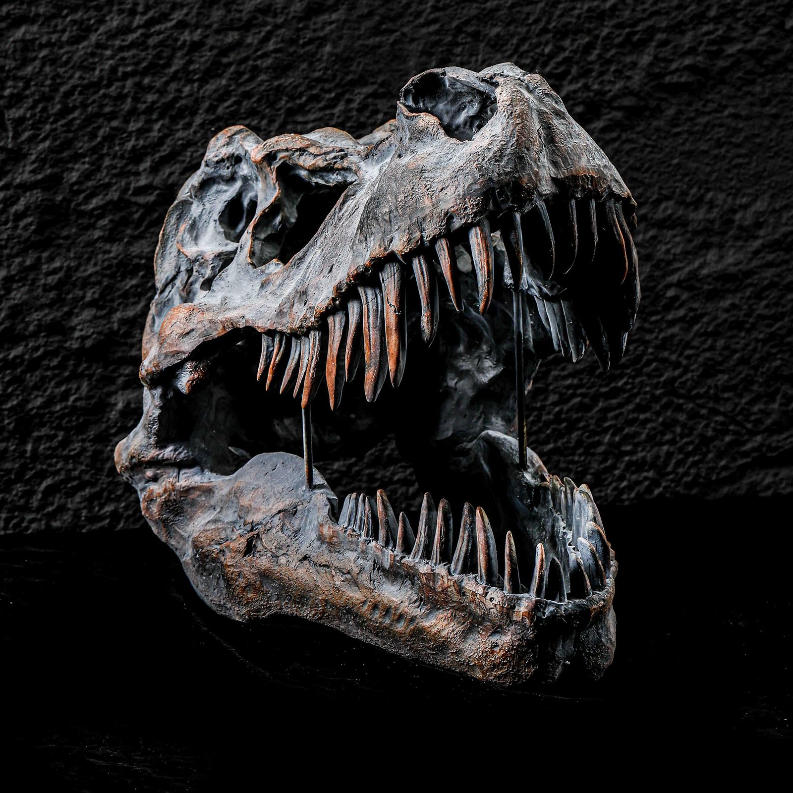 T-Rex Skull Dinosaur Head Statue Fossil Figurine Tyrannosaurus Rex Skull Sculpture per Home Office Decor Shelf Display