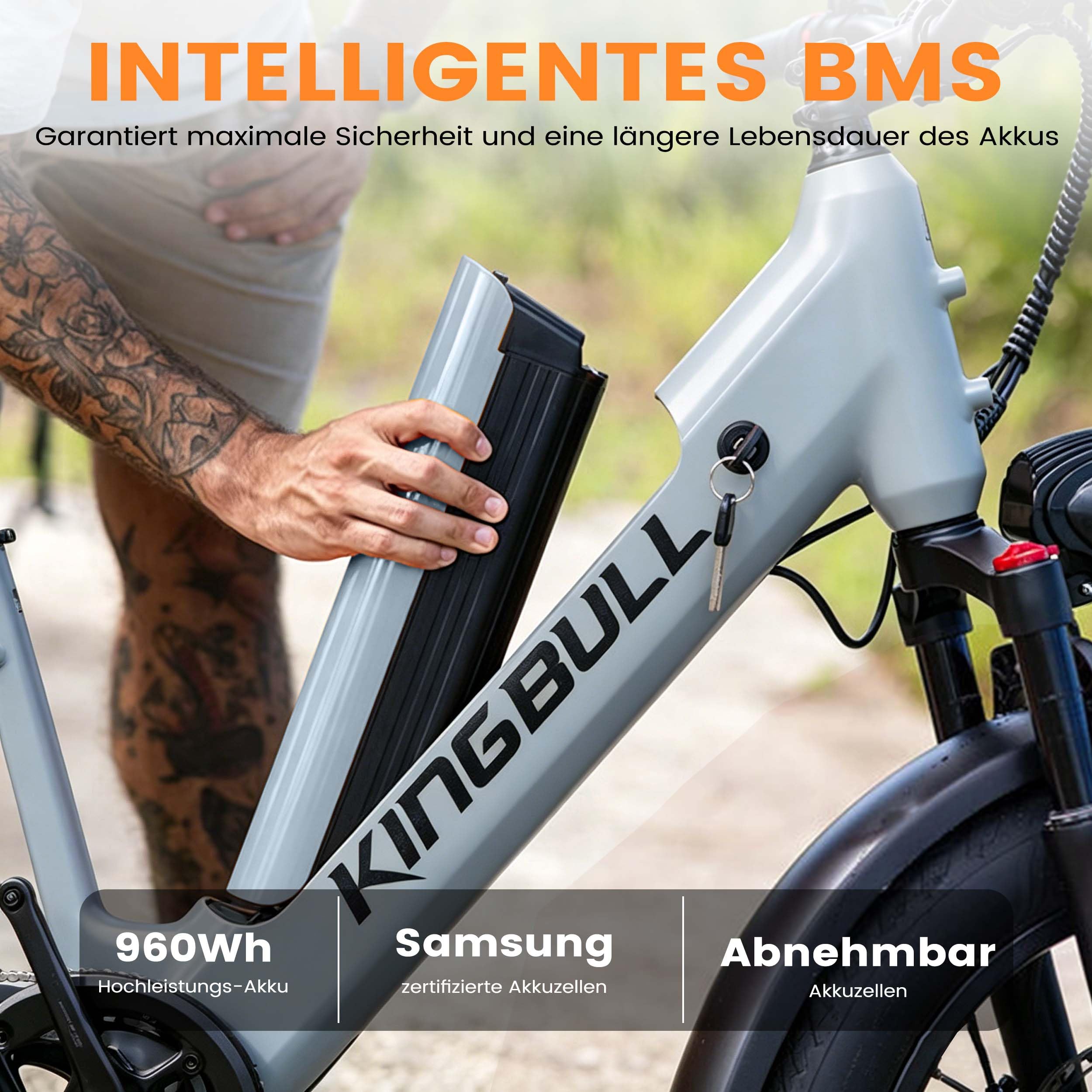 Elektric Cargo Bike Fat Tire E-Bike 20 Zoll 200kg Zuladung 960Wh, 25km/h Elektrofahrrad 100km Reichweite, Hydraulikbremsen für Erwachsene