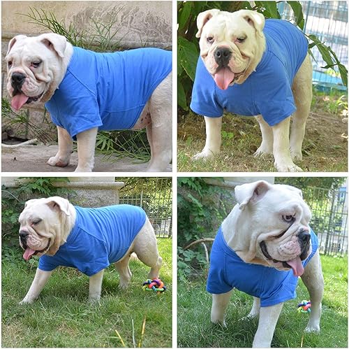 Miniatura 5 de Lovelonglong Ropa de bulldog para perro, camiseta en blanco para Bulldog francés, Bulldog inglés, American Pit Bull Pugs, 100% algodón, cuidado de
