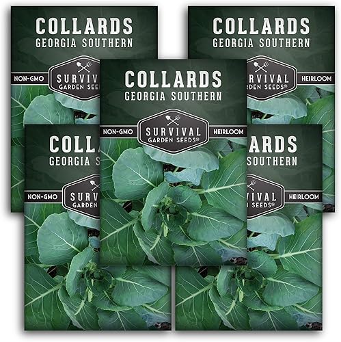 Survival Garden Seeds - Semillas de colar del sur de Georgia para plantar - Paquete con instrucciones para plantar y cultivar verduras saludables en