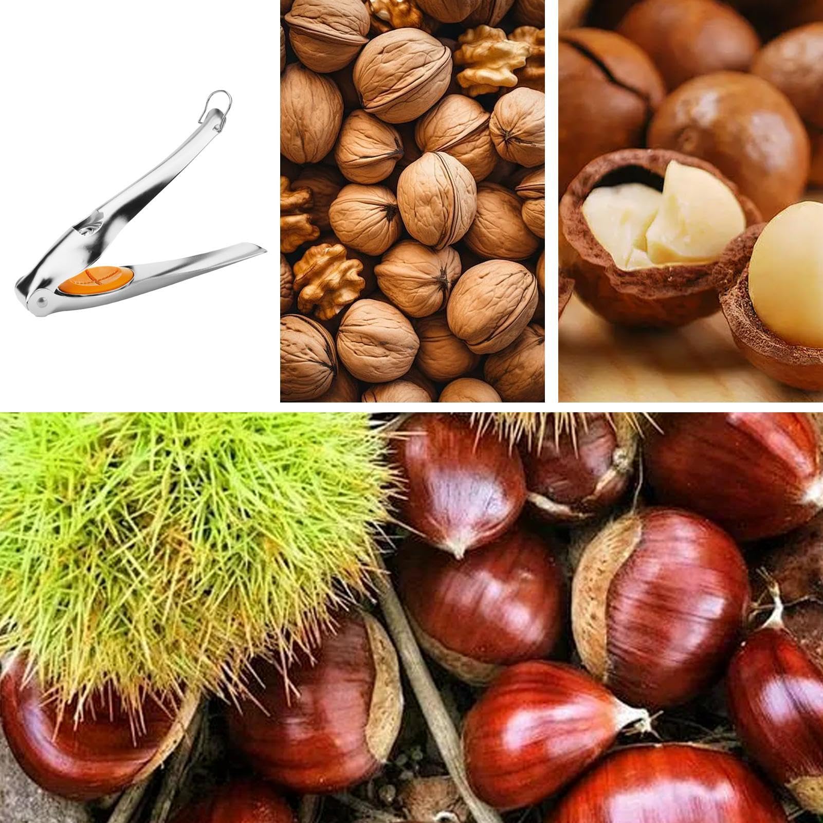 Pince à Châtaignes Et Casse-noix En Métal – 2 En 1, Poignée Ergonomique – Pour Noix, Noisettes, Amandes, Crevettes – Idée Cadeau - 5