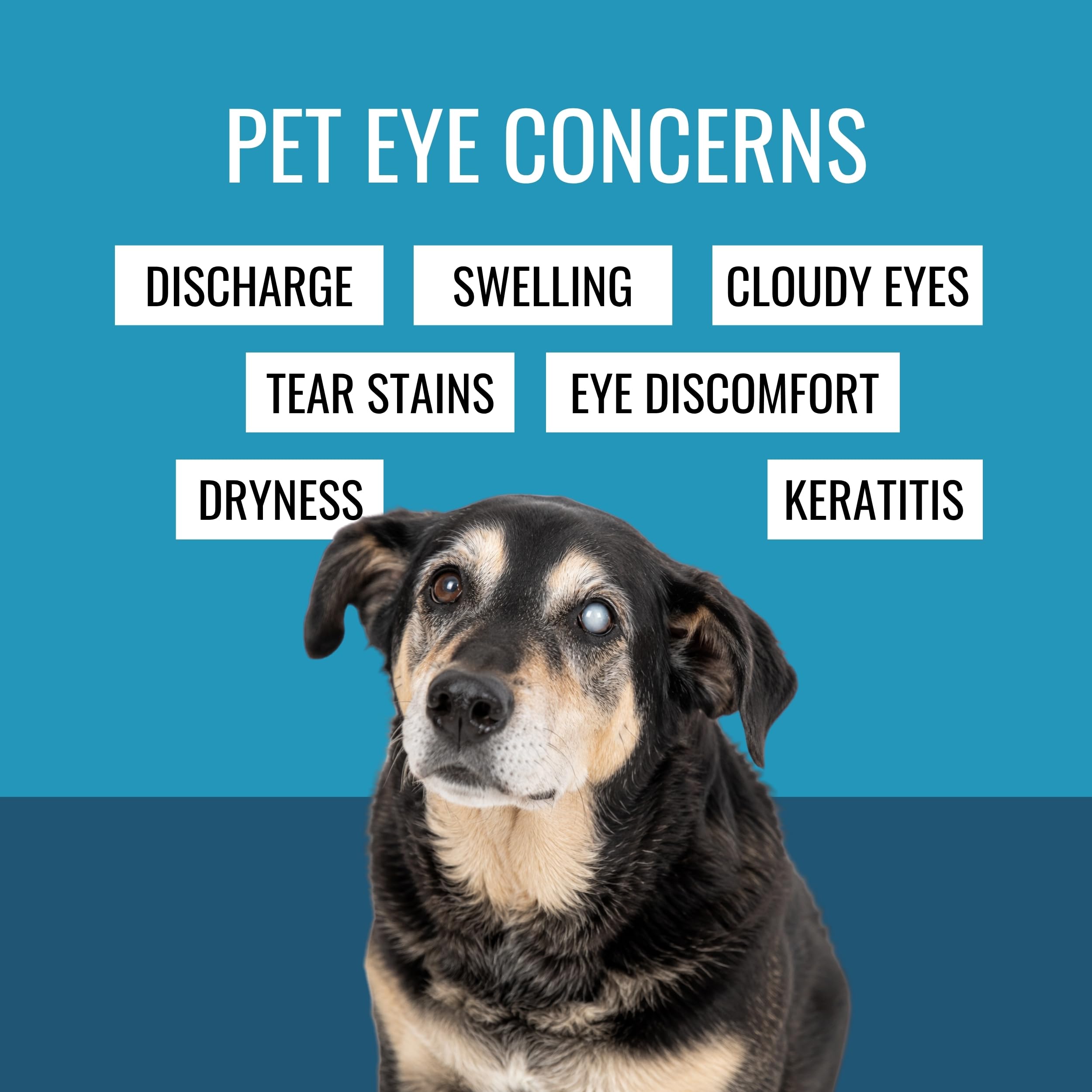 NOVEHA Pet Drops | Advanced Lanosterol Solution + NAC (2 x 10 mL) — Amazon image 4