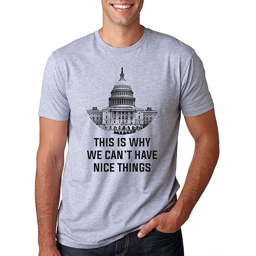 This Is Why We Can't Have Nice Things T Shirt Funny Anti Capitol Political Tee Funny Mens Shirts For Politicians With Adult Humor Light Grey L