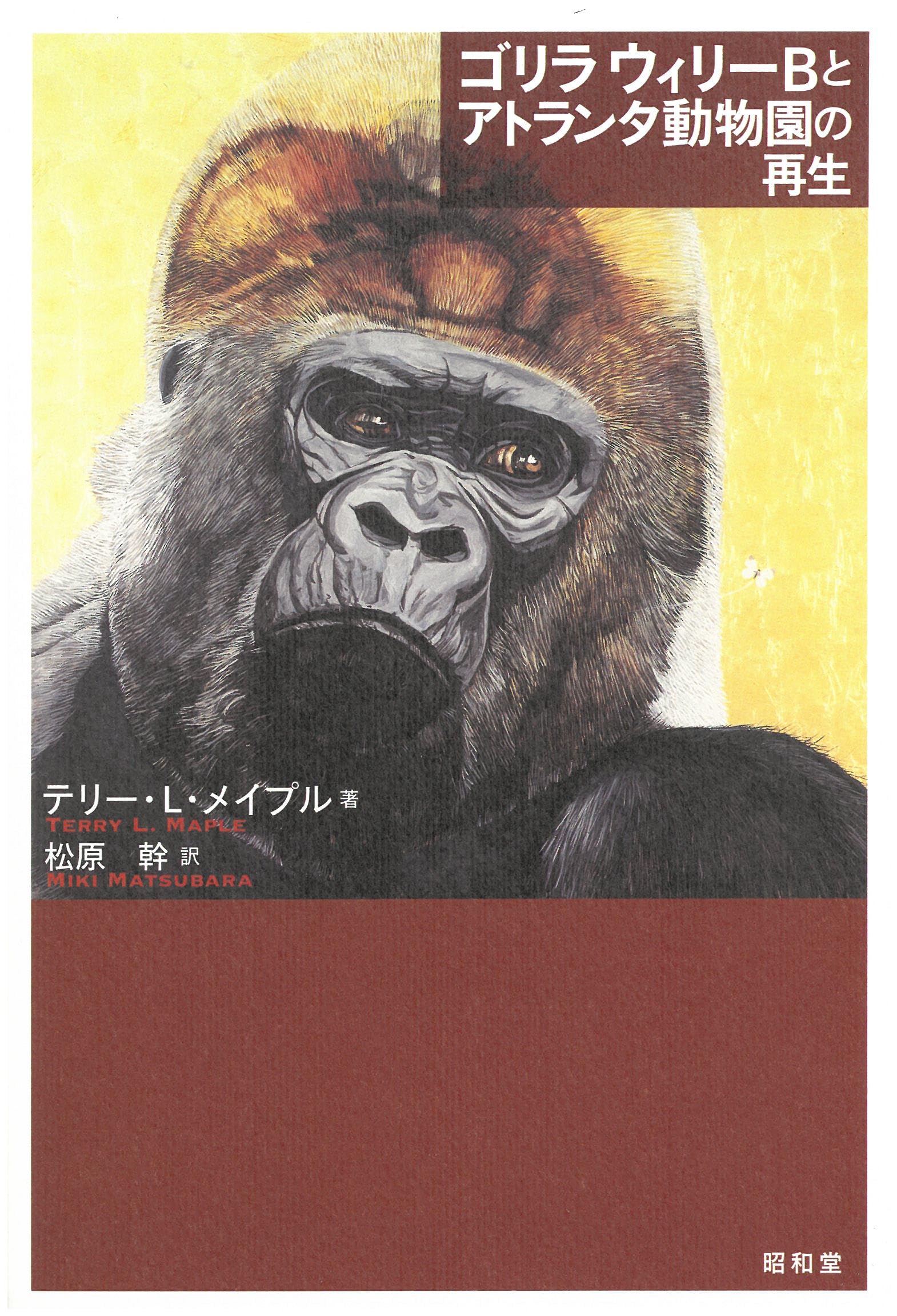 ゴリラ ウィリーBとアトランタ動物園の再生 | テリー・L・メイプル