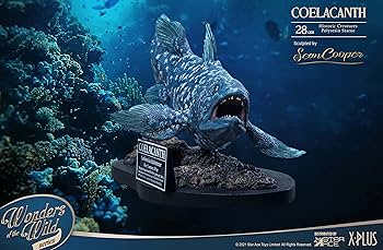チ*ス様 シーラカンス　プロト シーラカンス – 3D DATA JAPAN