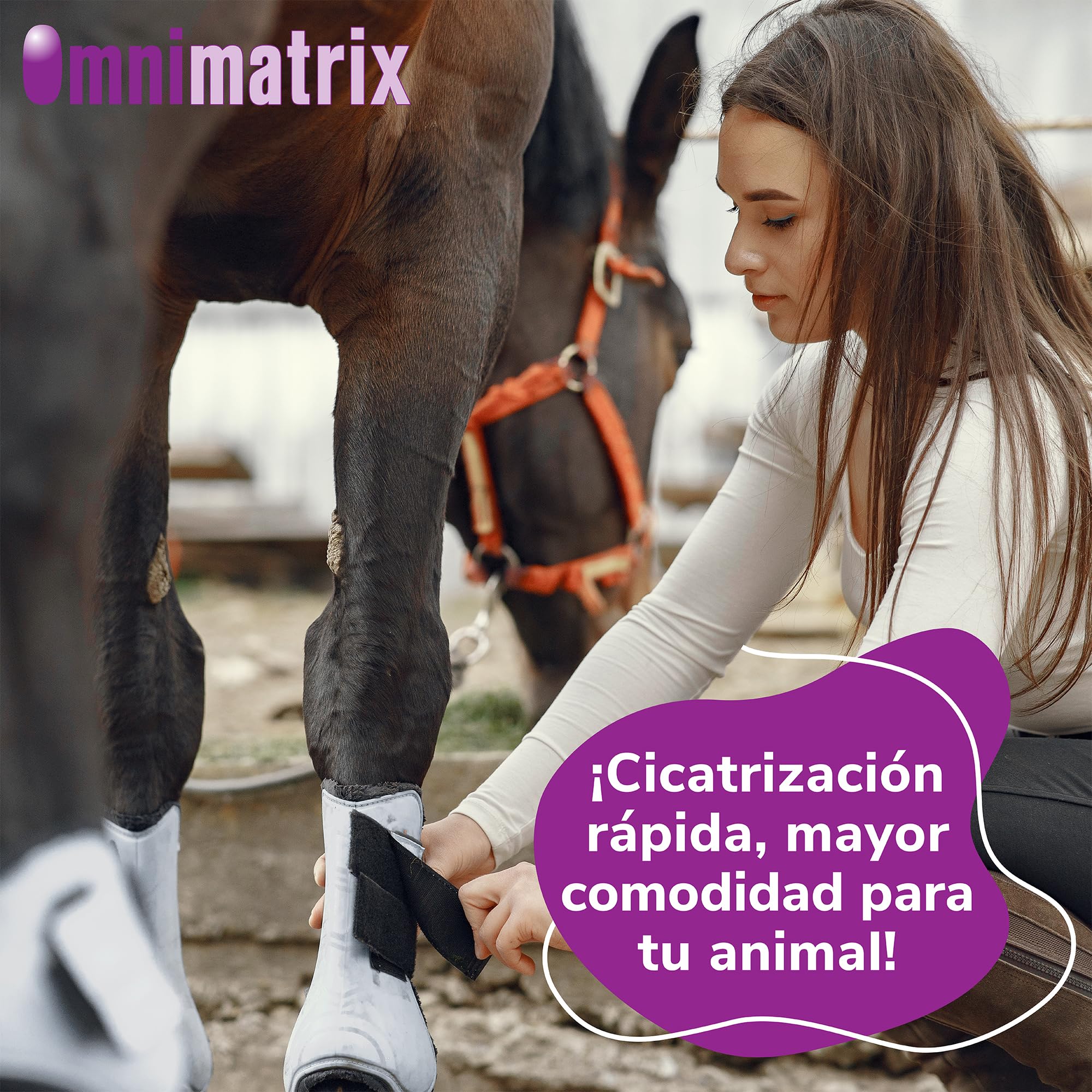 Omnimatrix Hifarmax - Crema Cicatrizante para Perros, Gatos y Caballos | Antiinflamatorios para Perros y Otras Mascotas, Ideal para la Cicatrización de Heridas | Crema para Almohadillas| Tubo de 60g