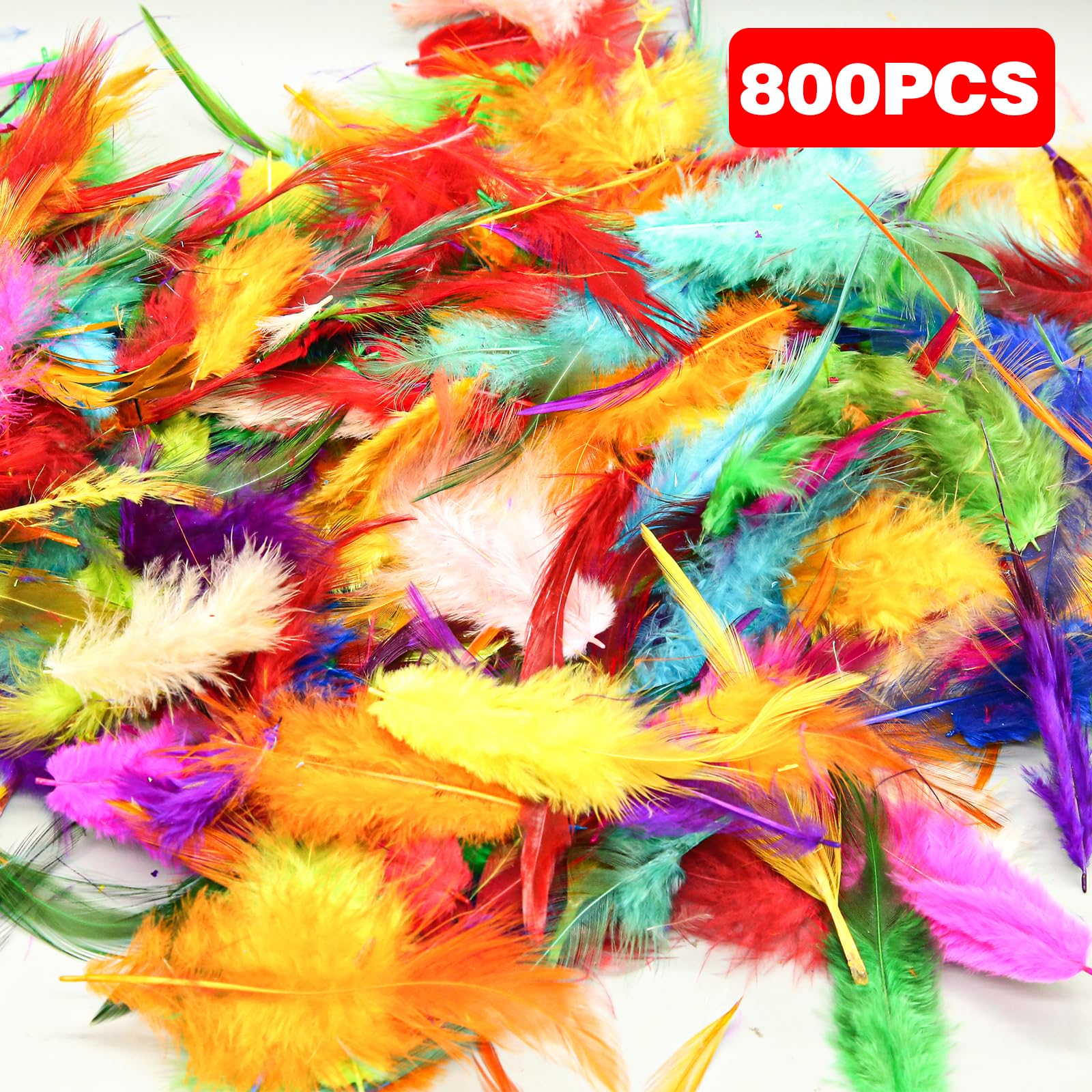 Sachet De 1000 Plumes Assorties | Manutan Collectivités