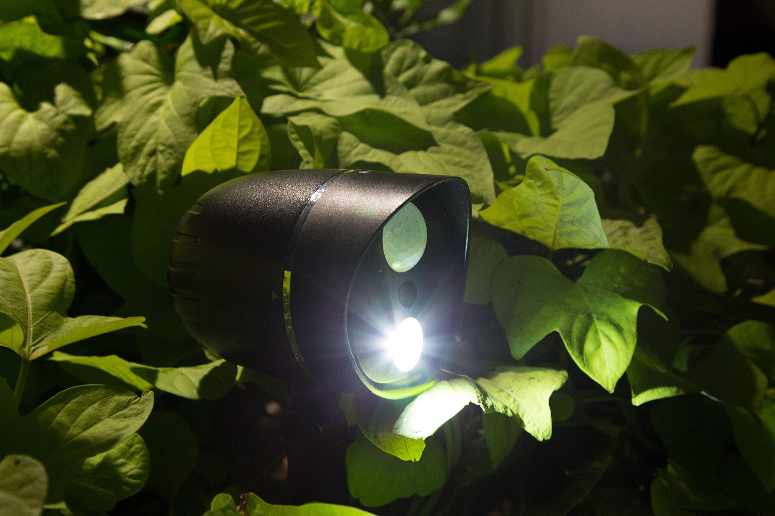 Technaxx Caméra de Surveillance Extérieure Landscape Security Fabrication Imperméable Équipée d'Éclairage LED et de Capteur Infrarouge Passif TX-106 (Noir)